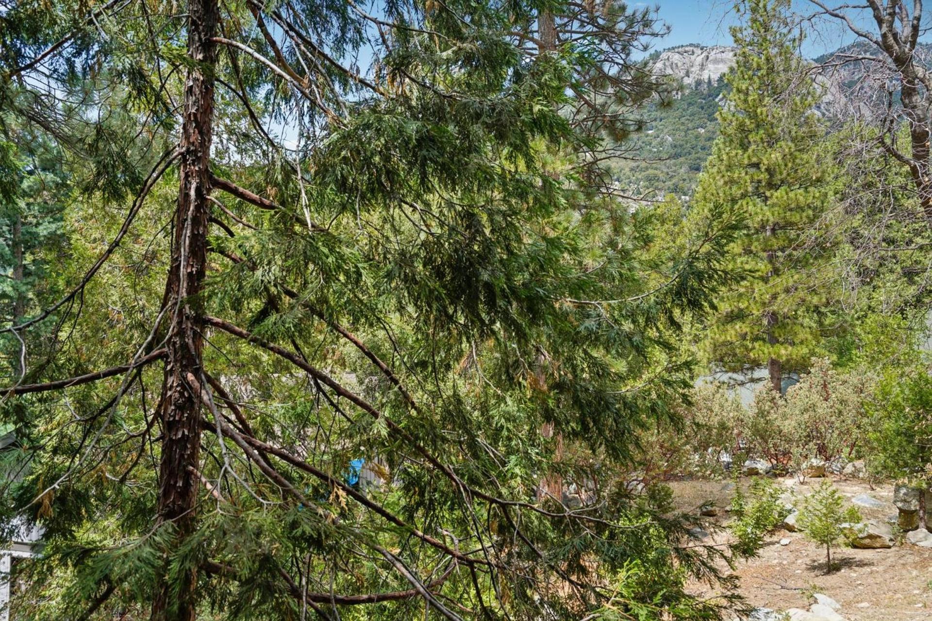 Idyllwild Realty Vacations photo 66