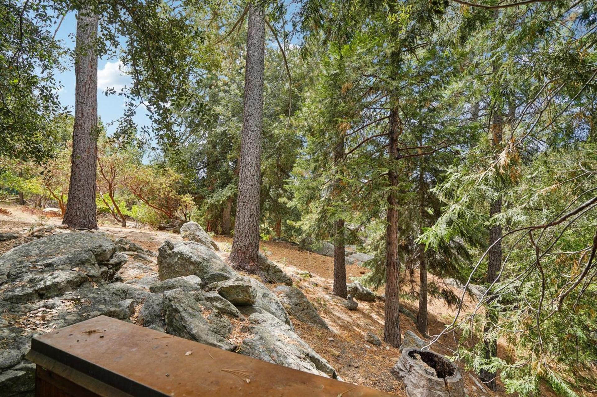 Idyllwild Realty Vacations photo 61