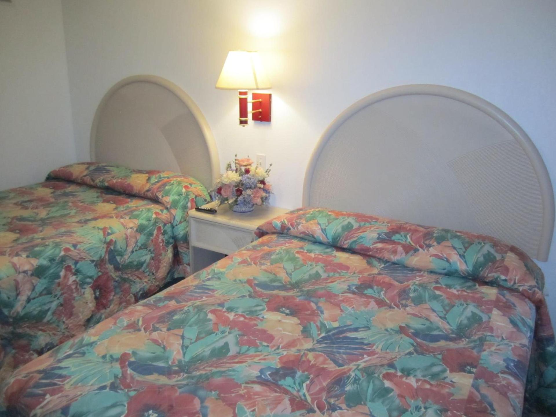 Apollo Motel photo 42