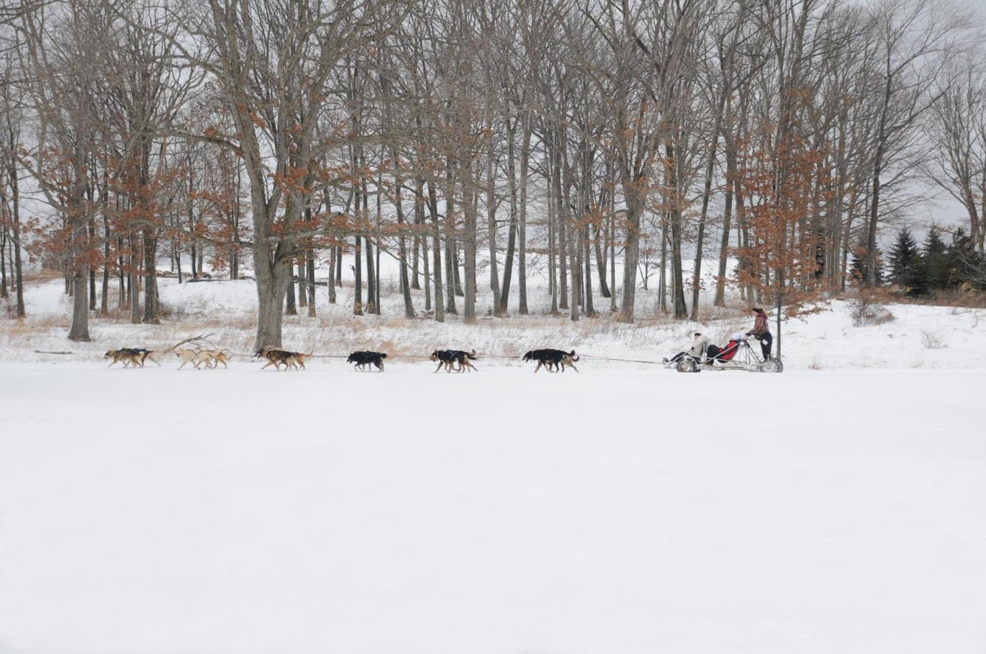Nemacolin photo 21