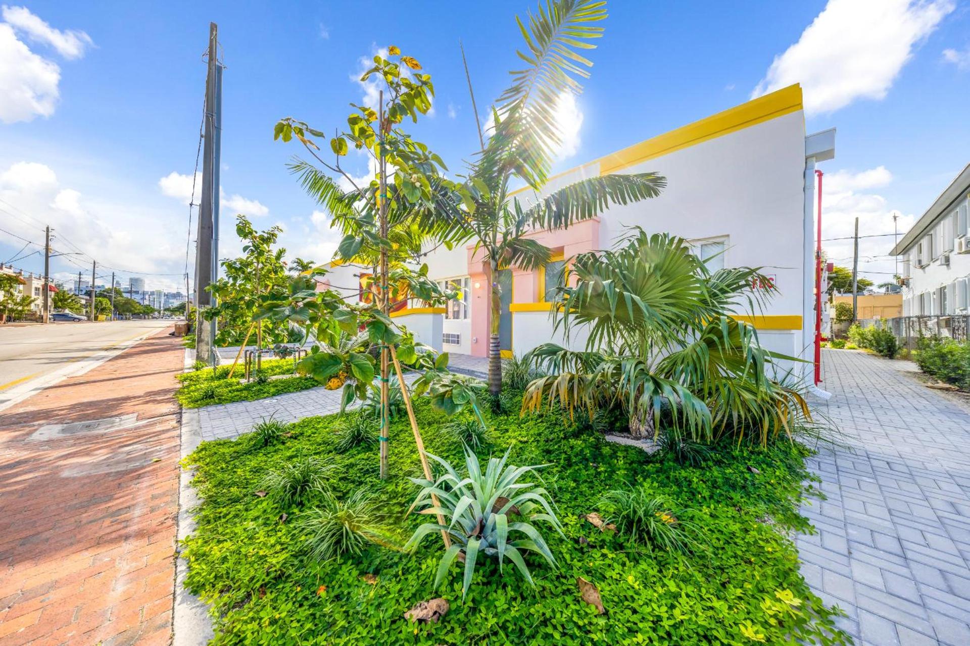 El Jardin by Renzzi photo 4