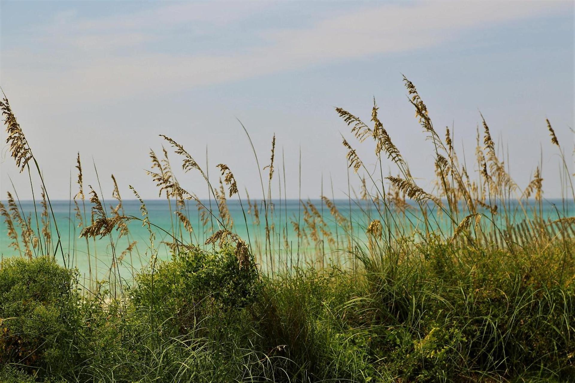 Henderson Beach Resort photo 13