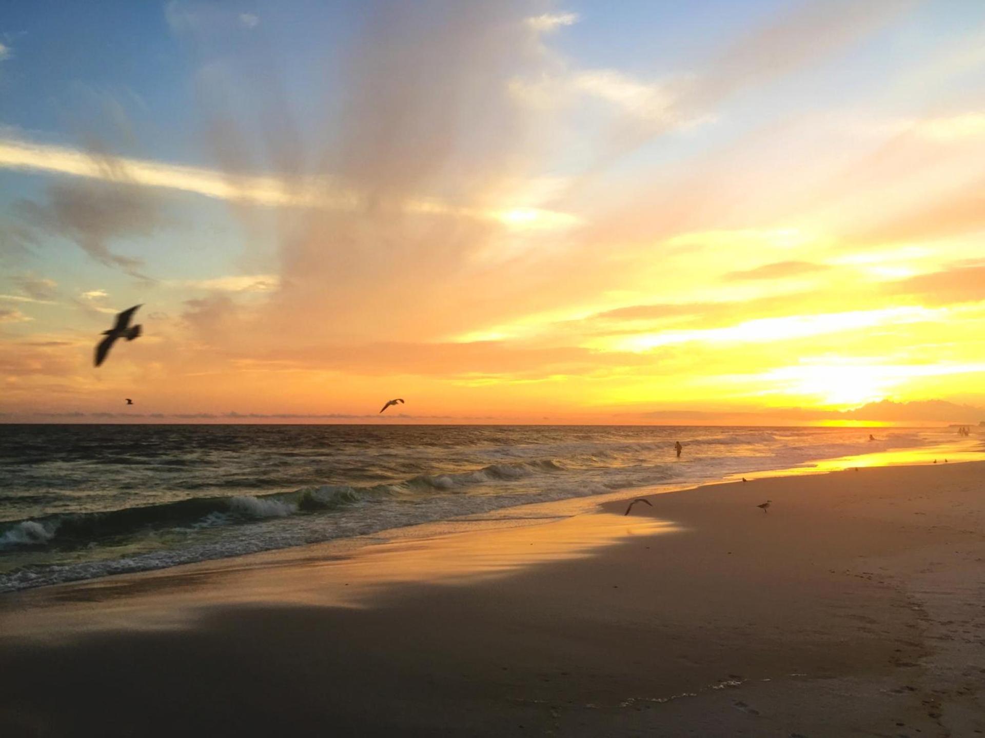 Henderson Beach Resort photo 14