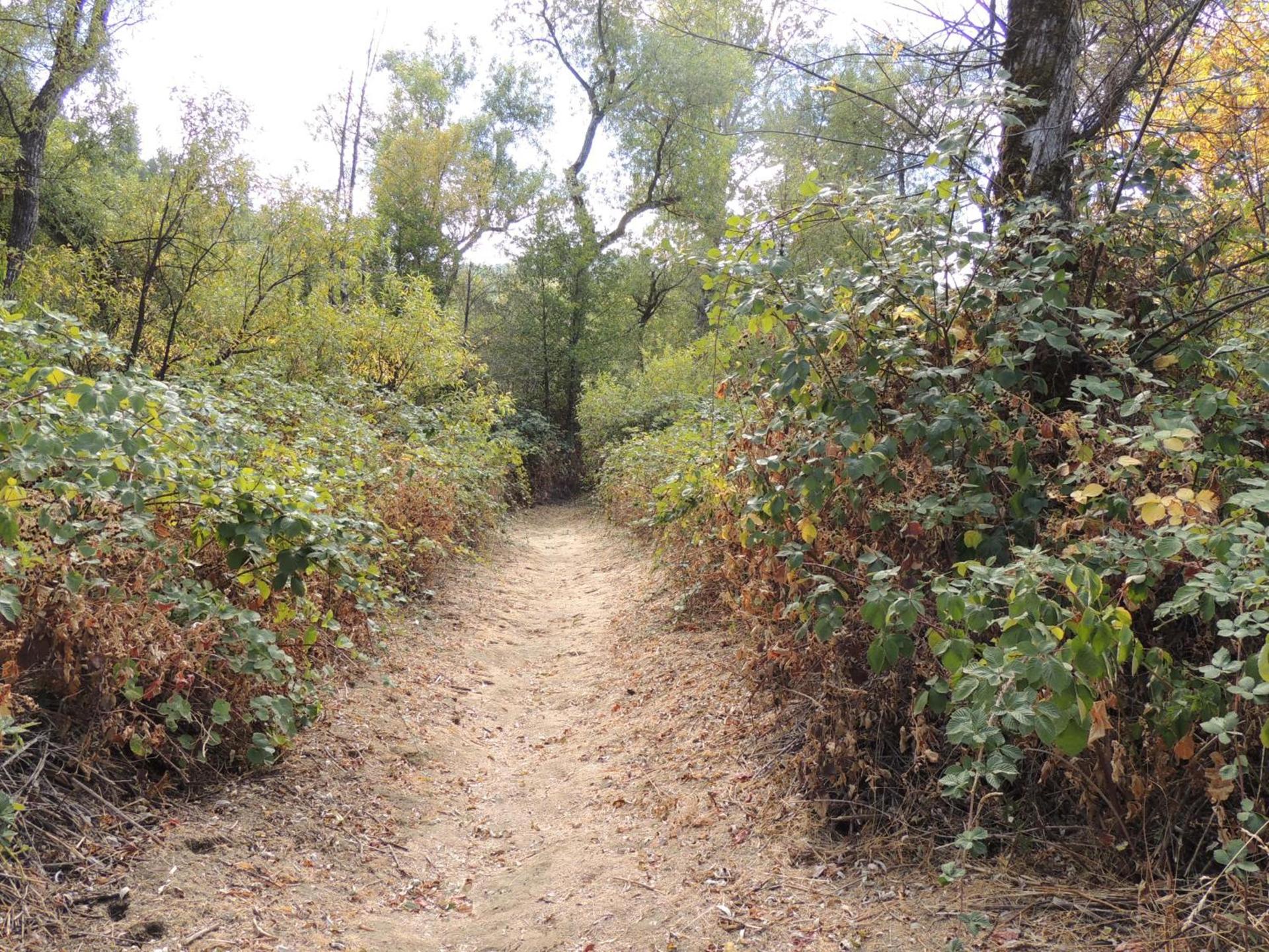 Indian Creek Lodge photo 17