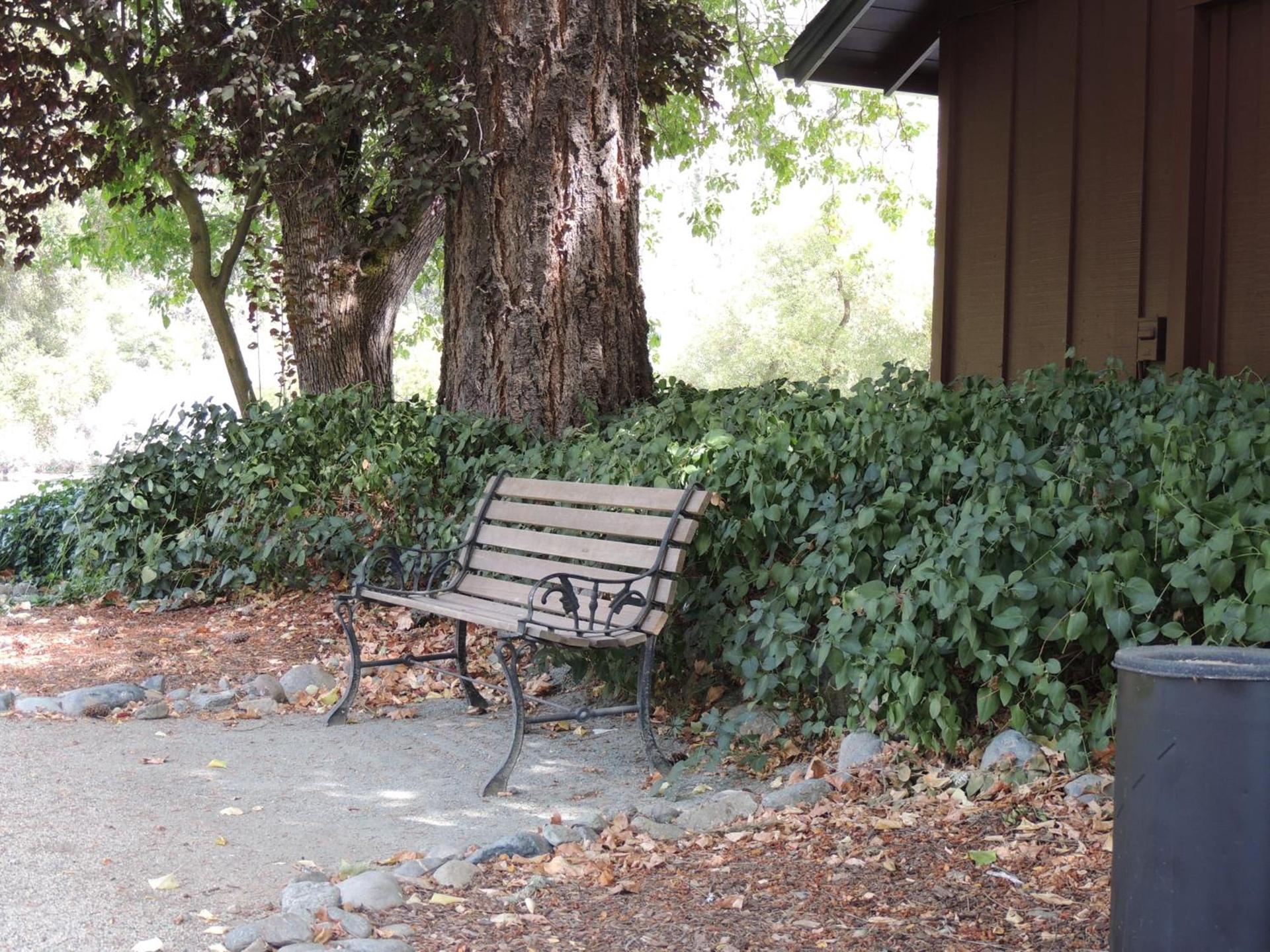 Indian Creek Lodge photo 11