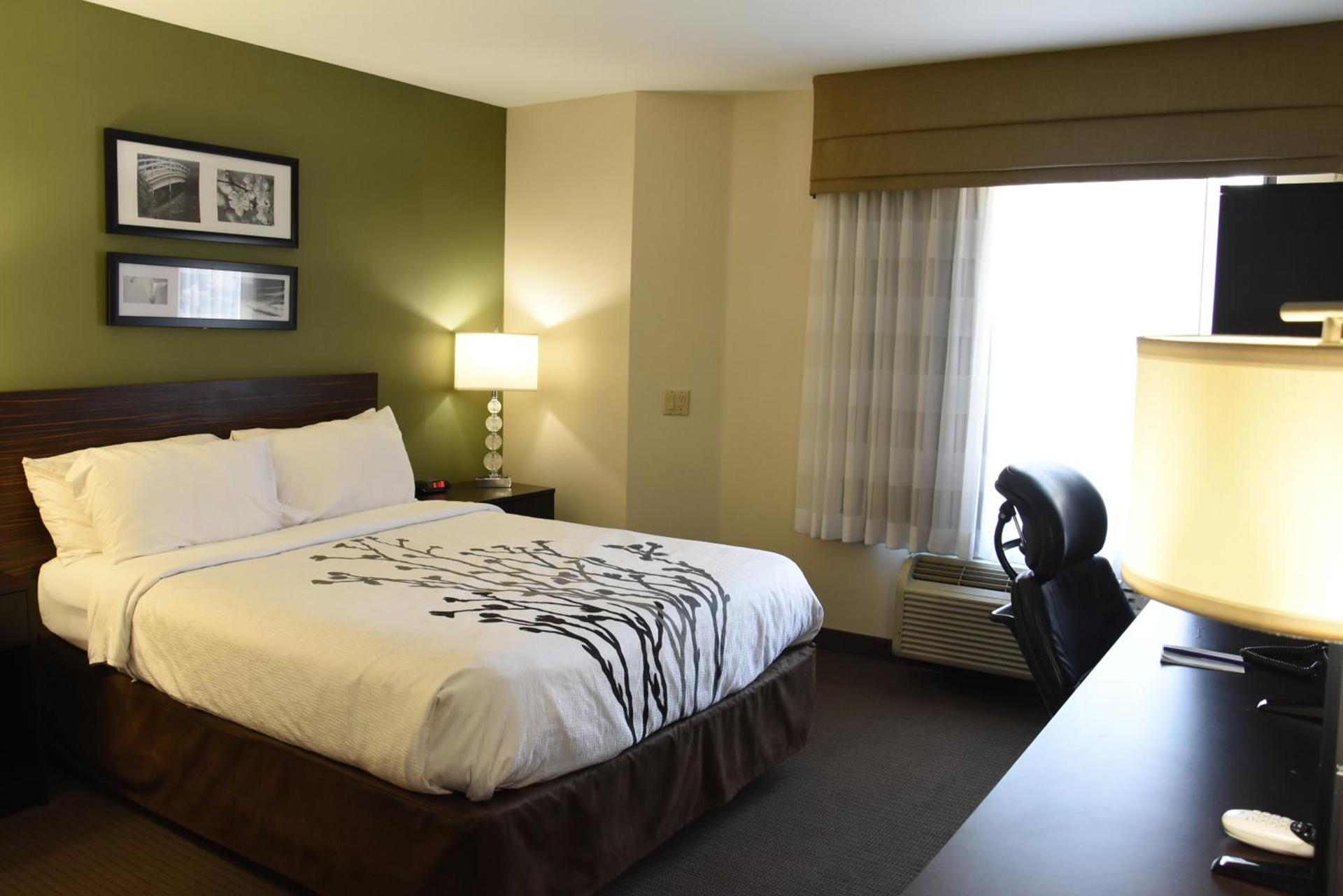 Sky Harbor Airport Inn photo 16