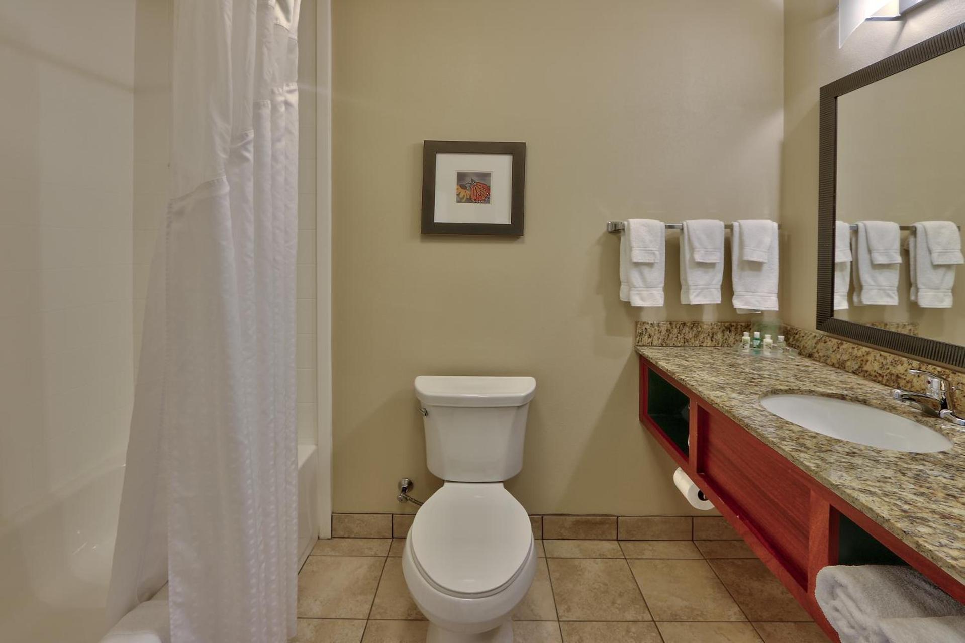 Holiday Inn Roswell by IHG photo 6