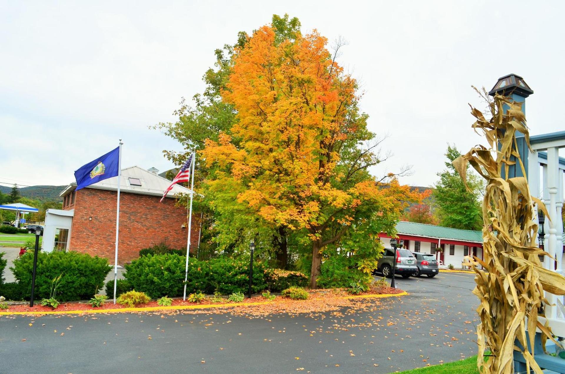 Williamstown Motel photo 64