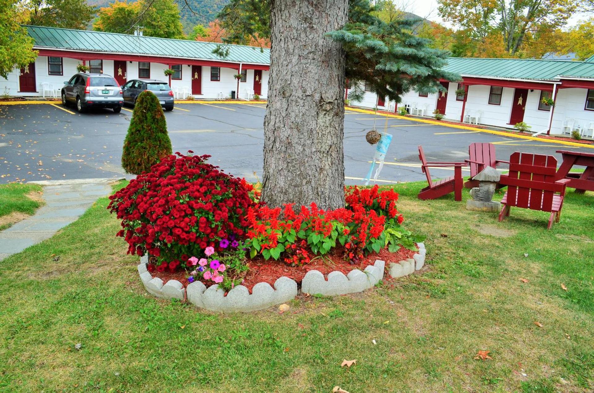 Williamstown Motel photo 34