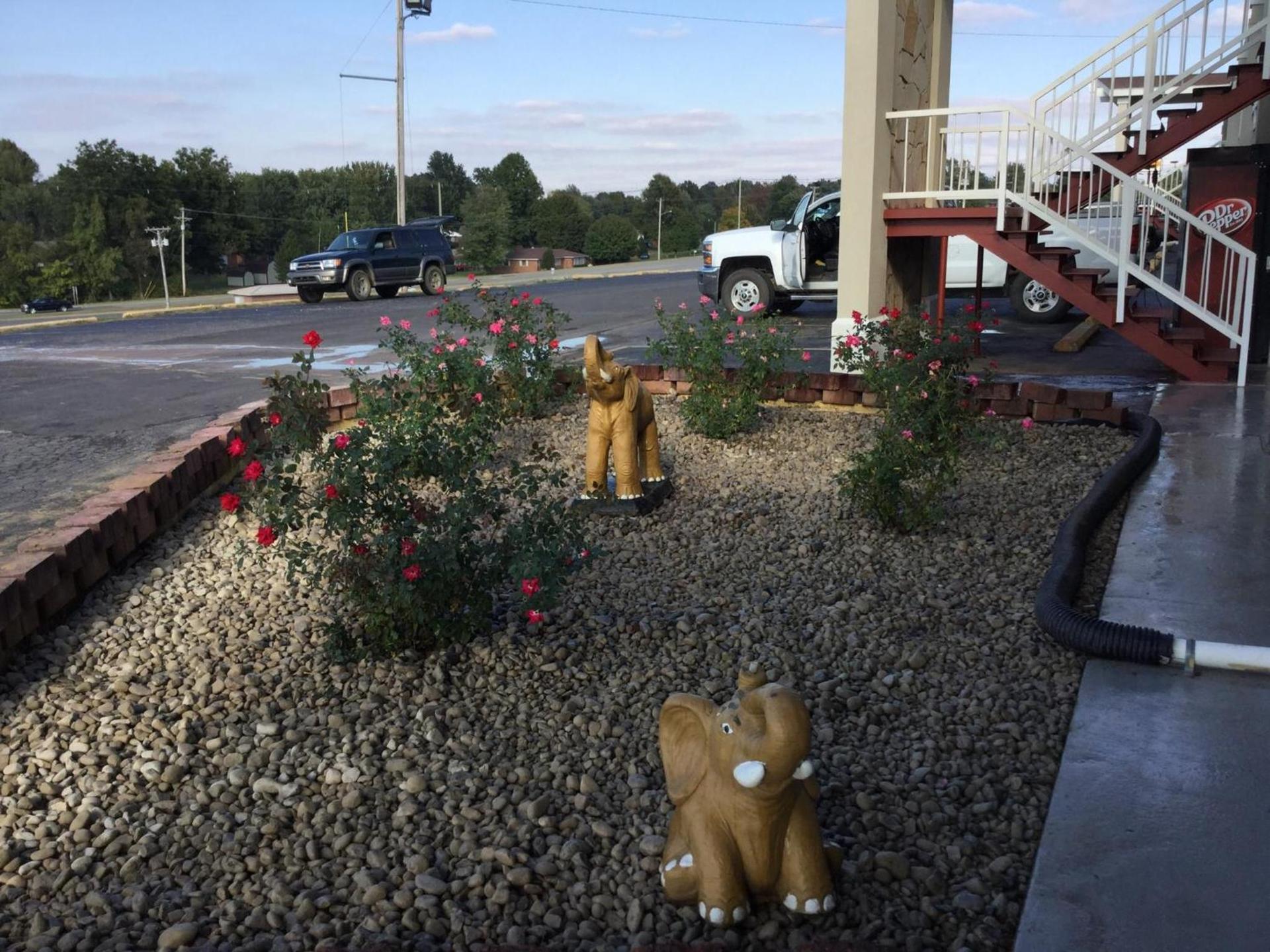 Big Spring Inn Madisonville photo 9