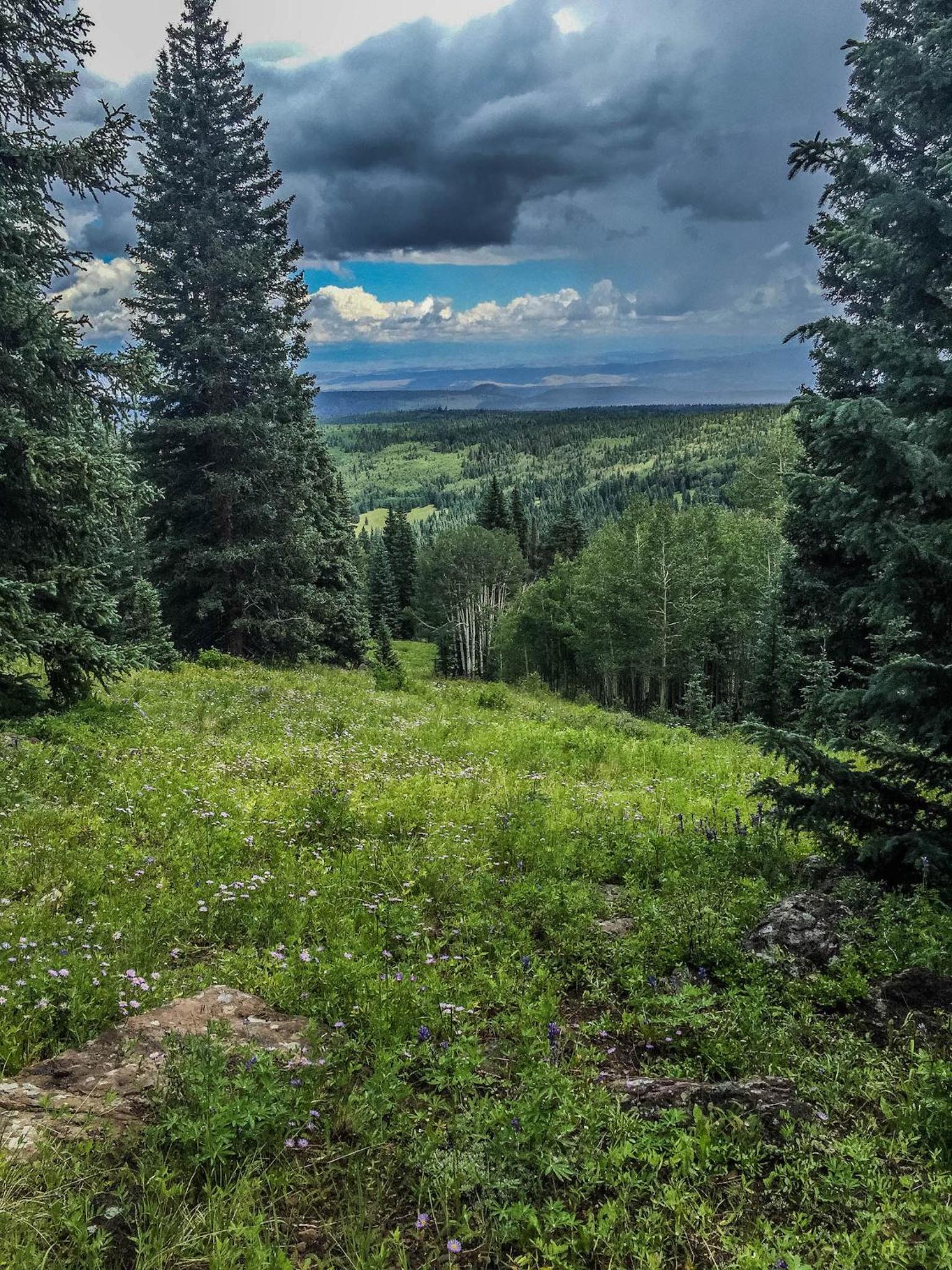 Arrowhead Mountain Lodge photo 99