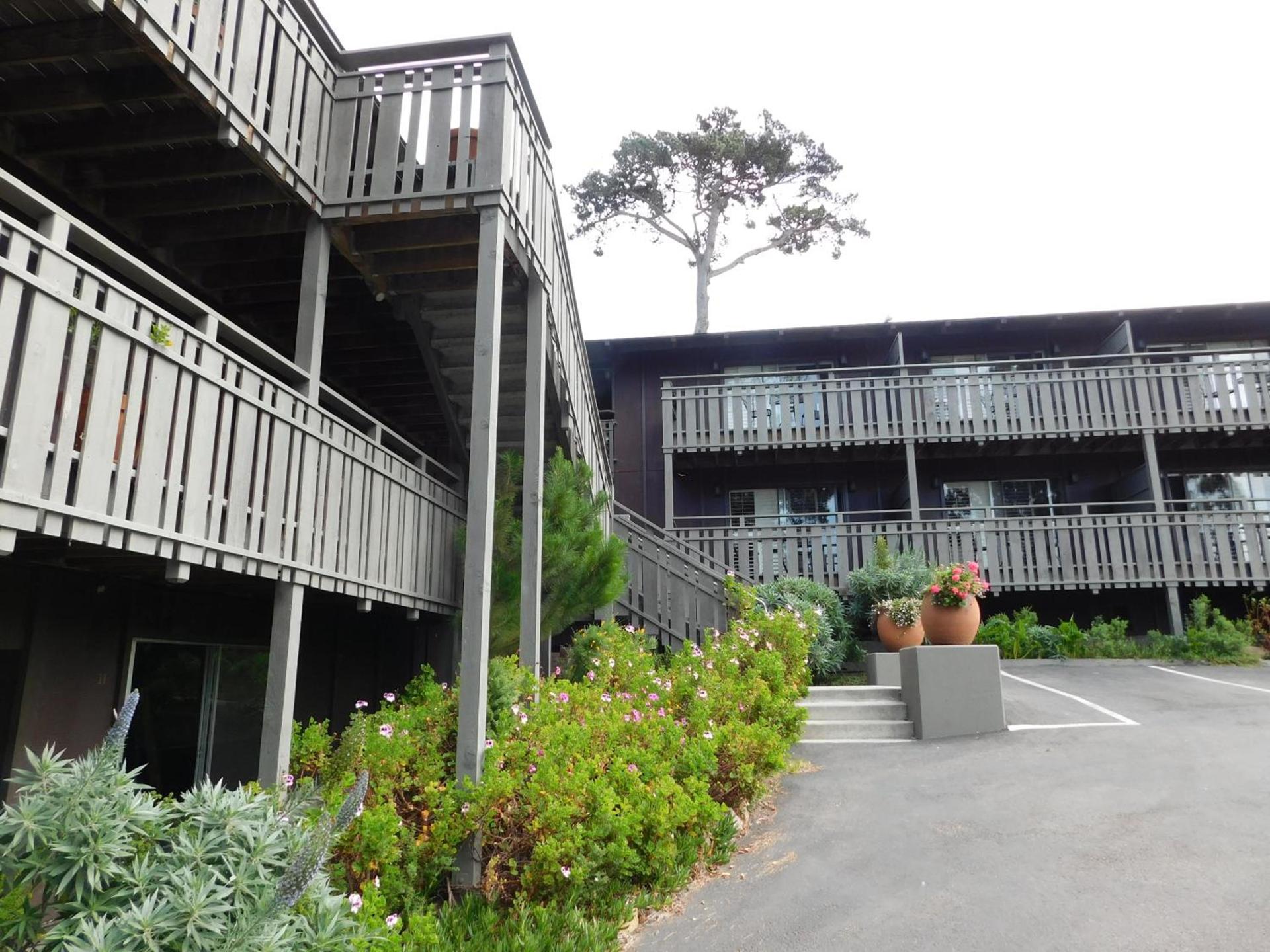 The Olympia Lodge photo 5