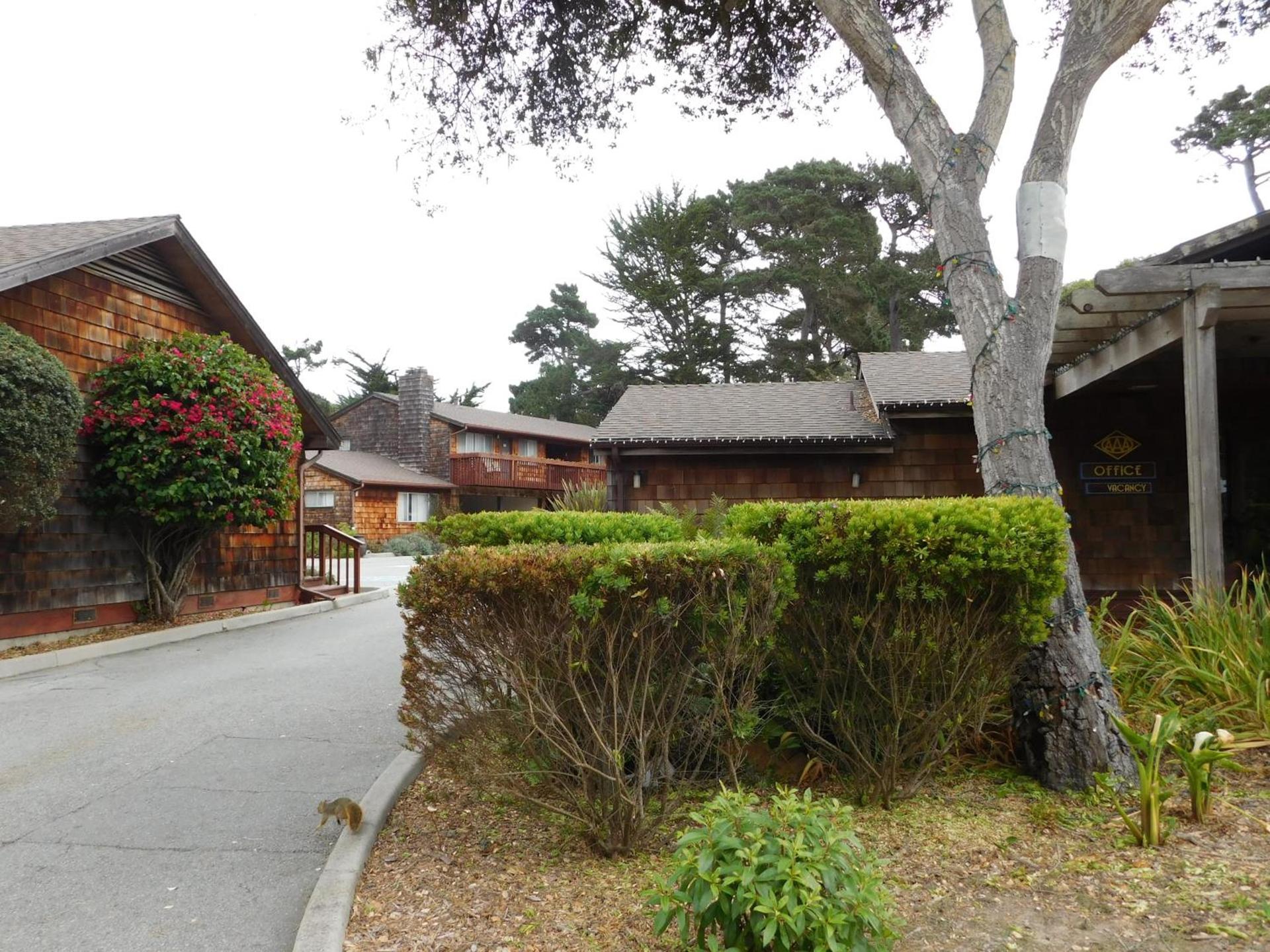 Pacific Gardens Inn photo 12