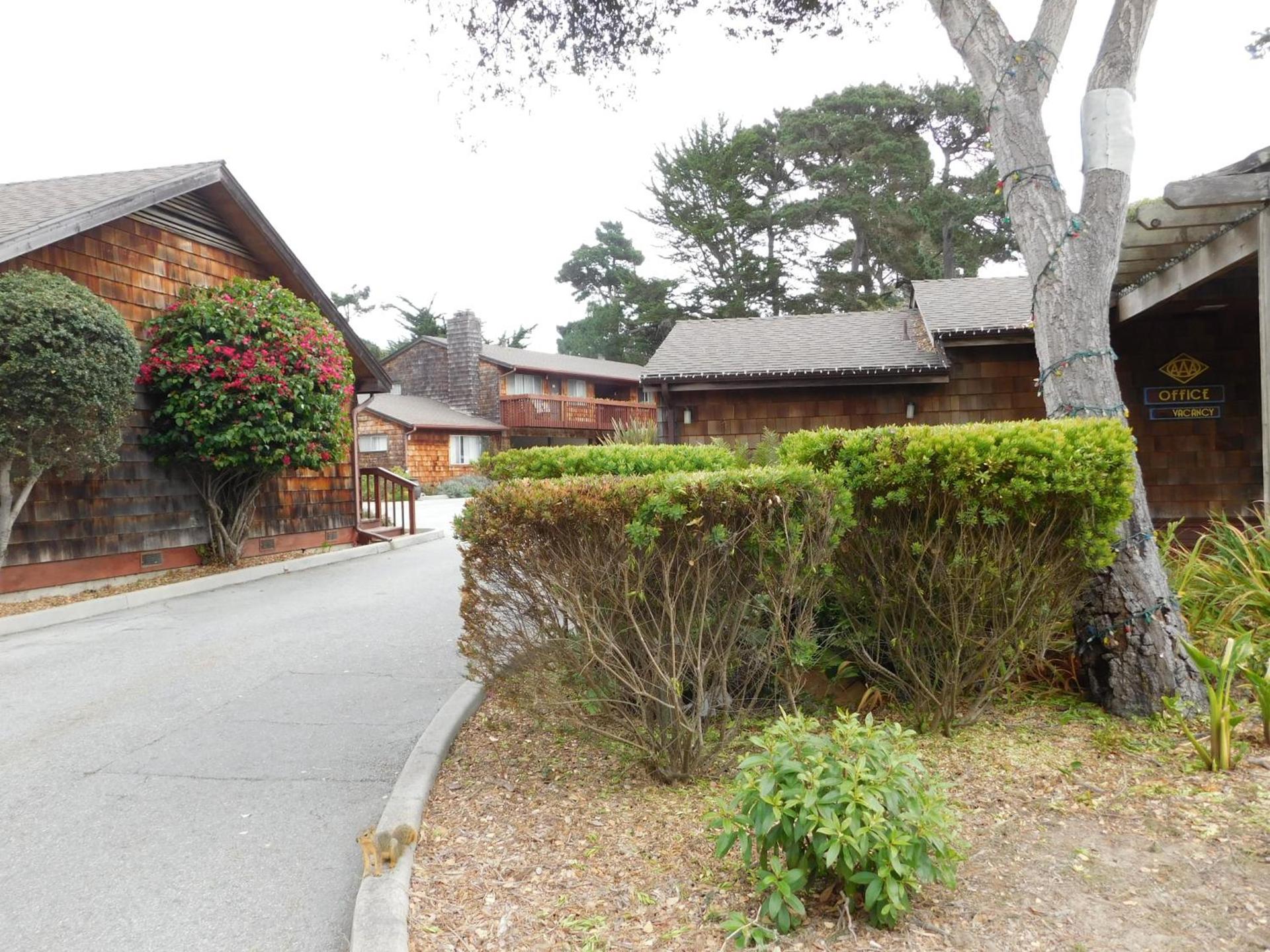 Pacific Gardens Inn photo 13