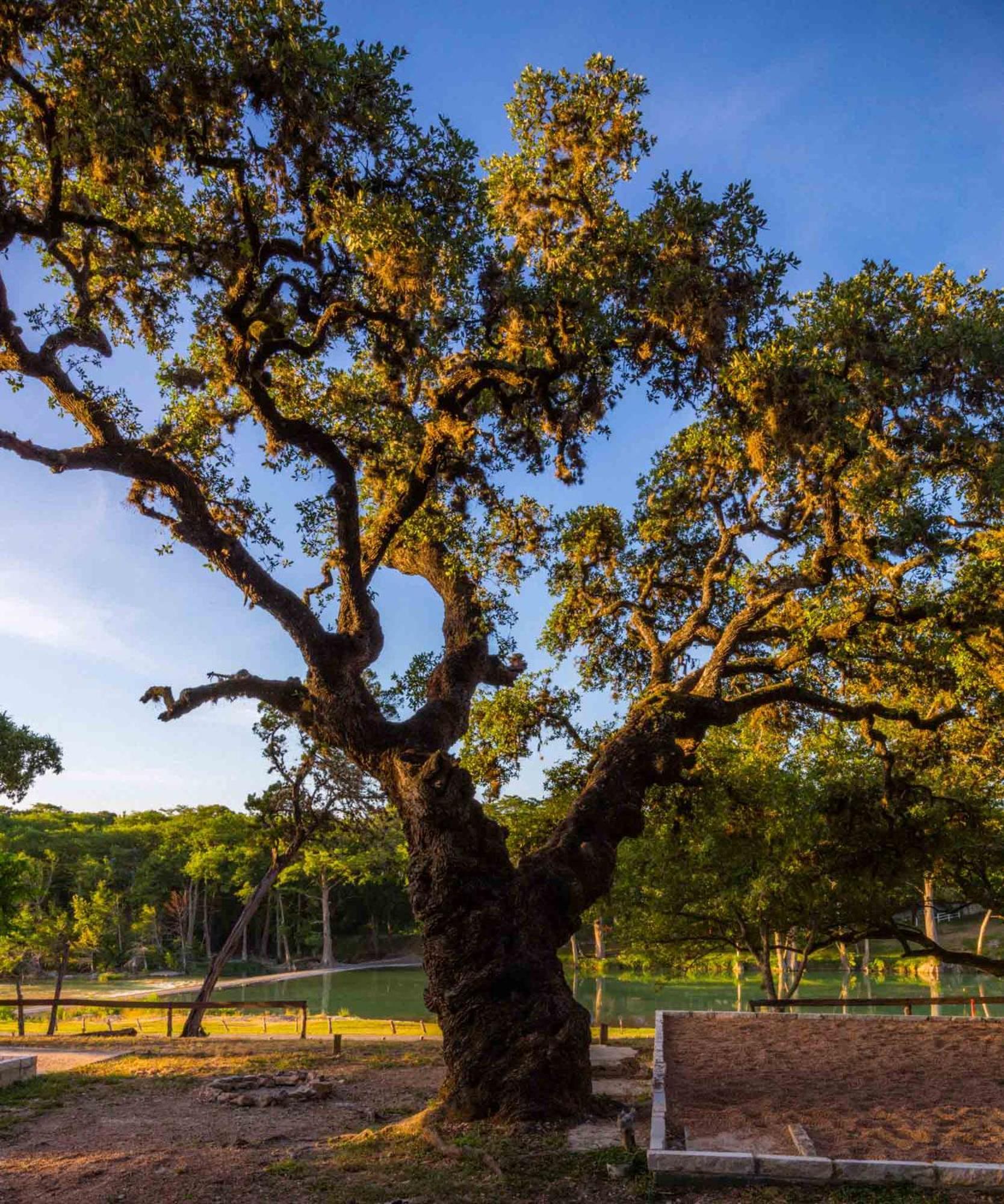 7A Ranch photo 54