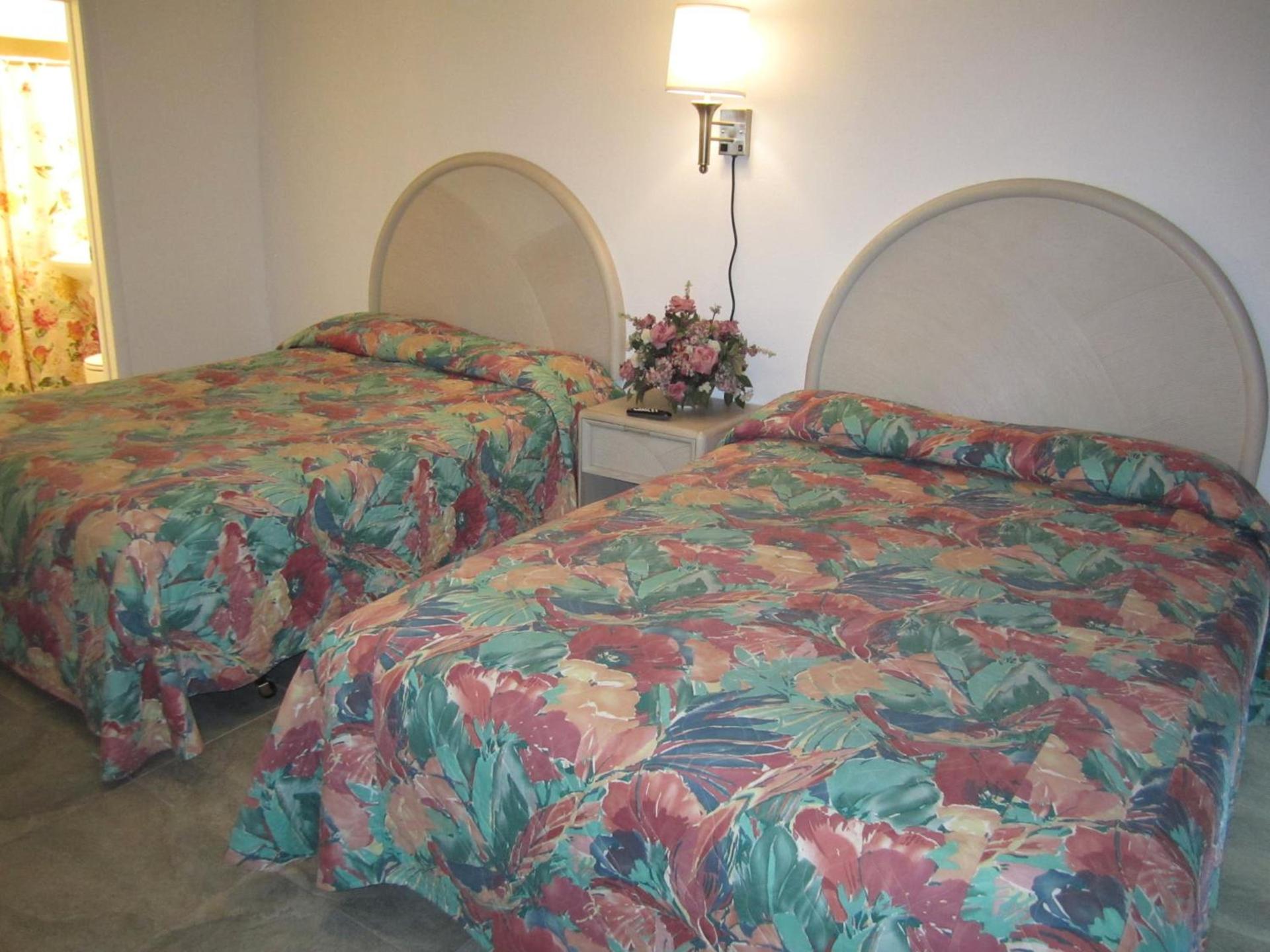 Apollo Motel photo 73