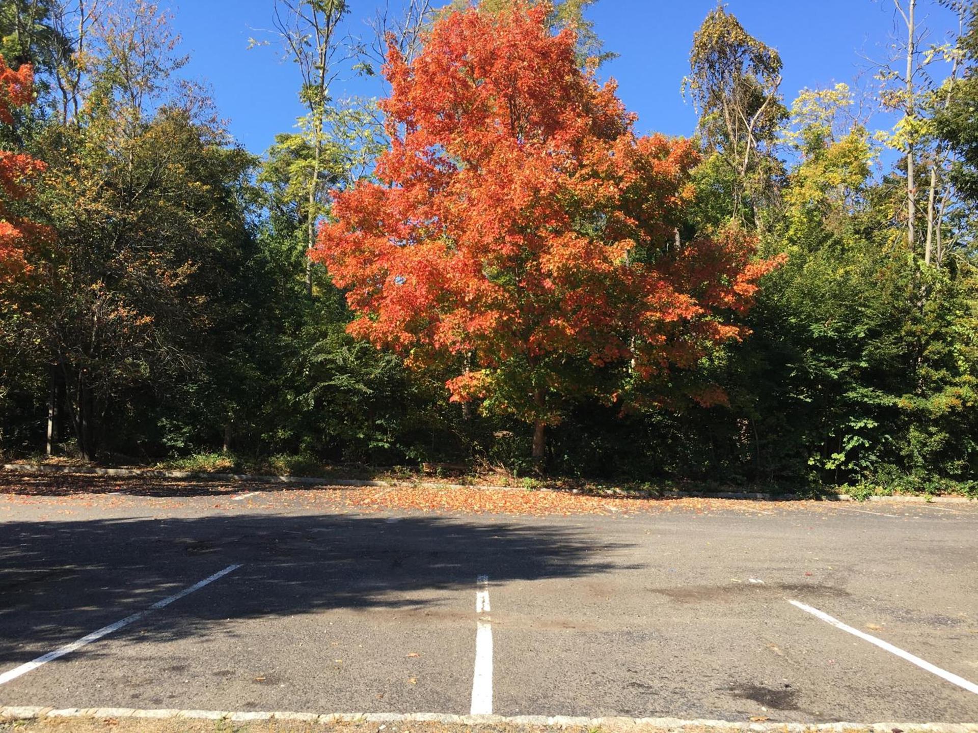 Colts Neck Inn Hotel photo 38