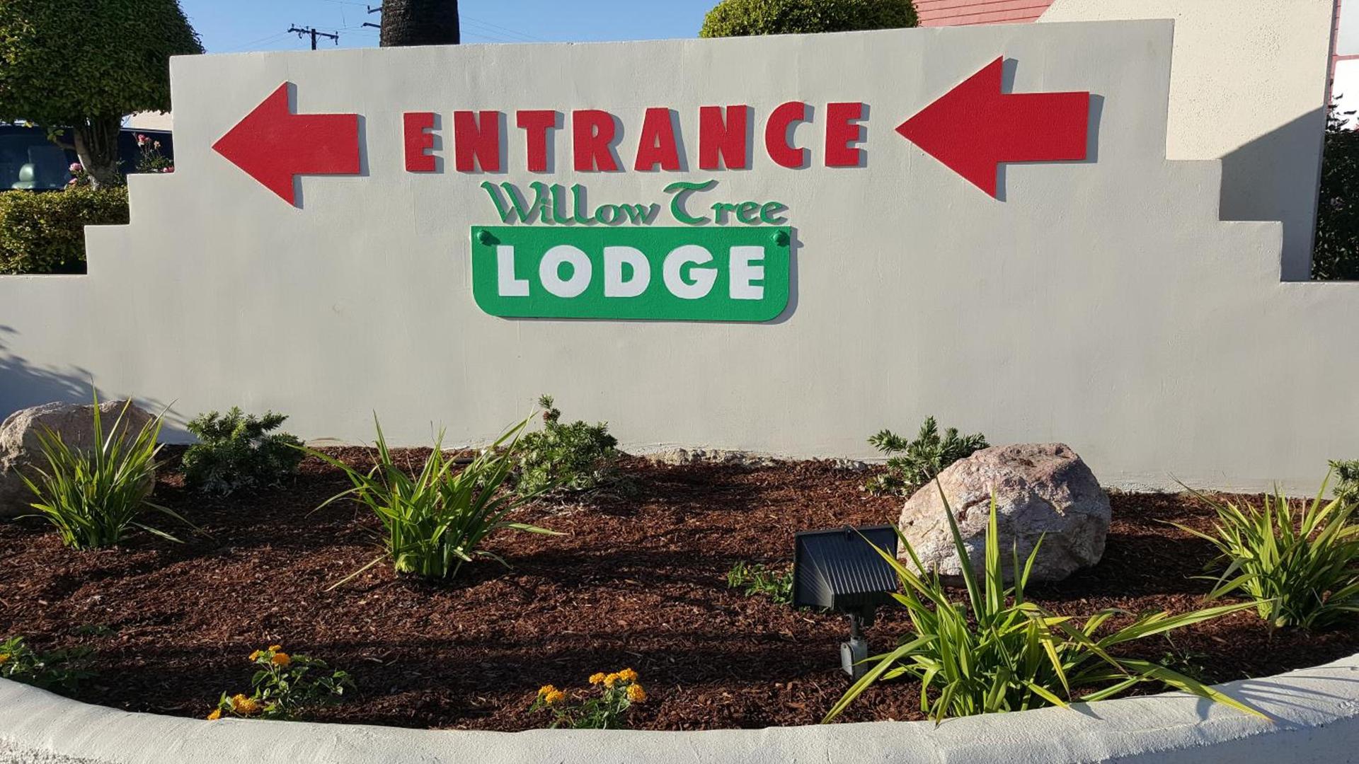 Willow Tree Lodge photo 11