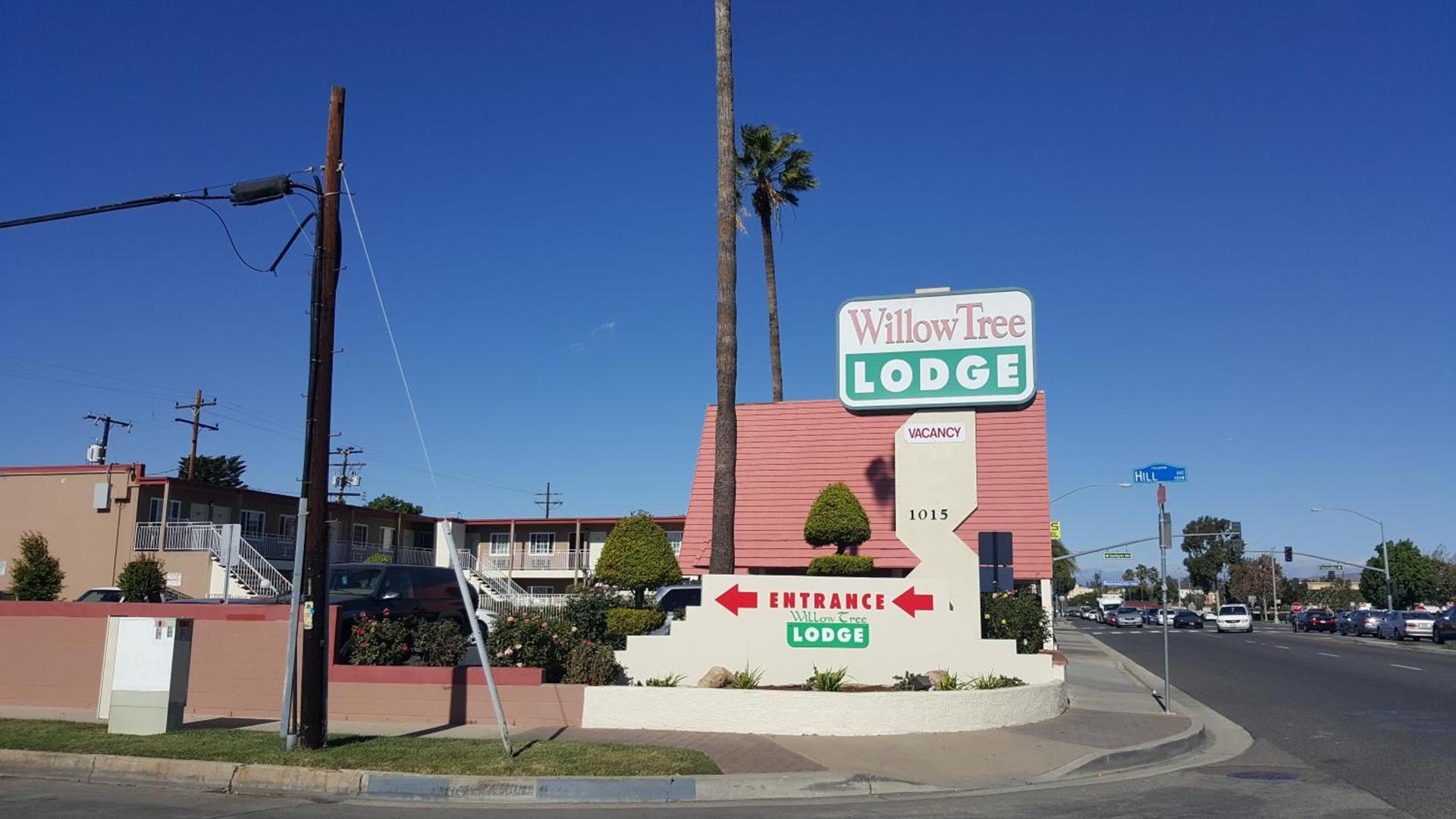 Willow Tree Lodge photo 12