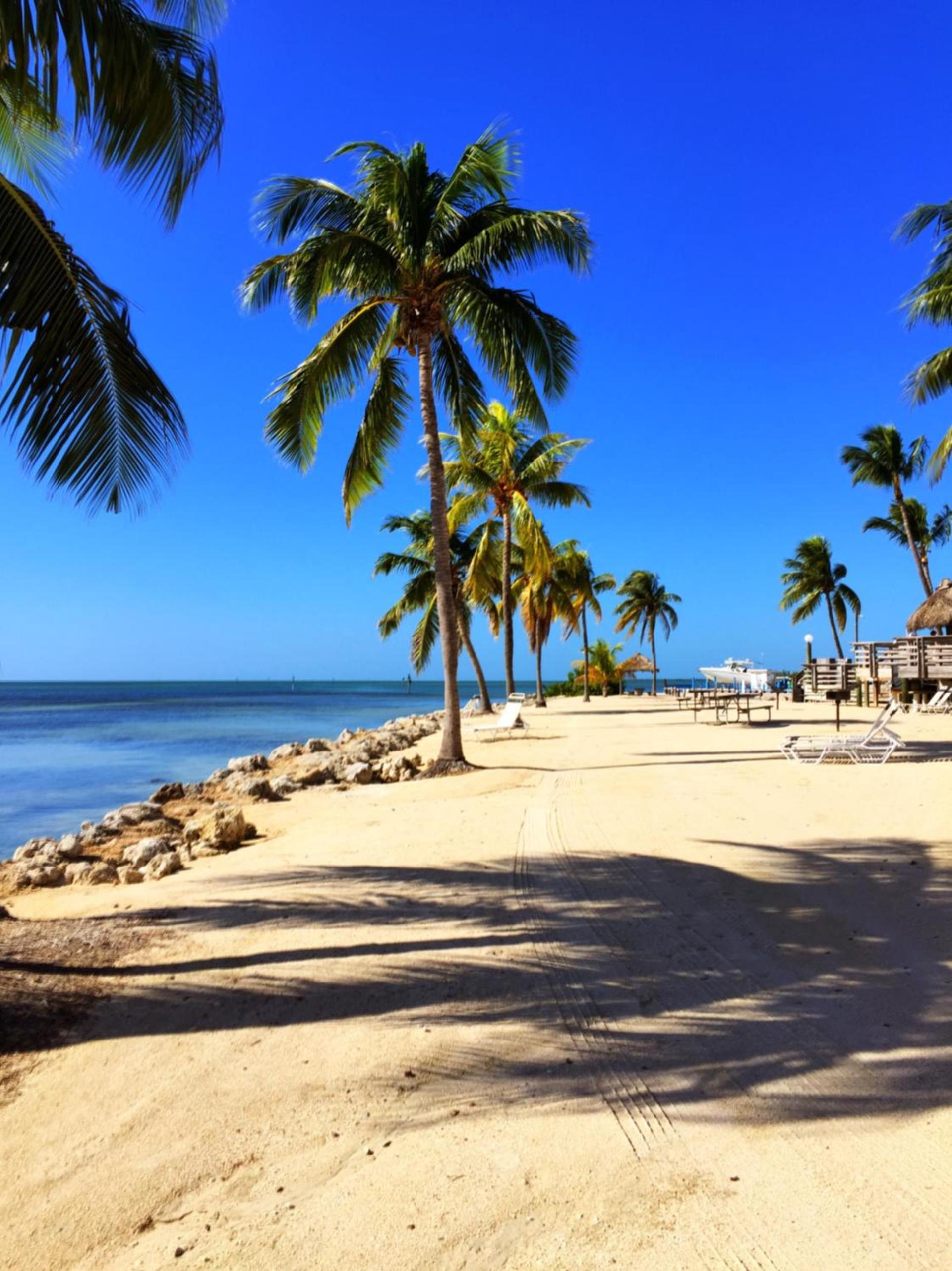 Caloosa Cove Resort by CoolVacay photo 10