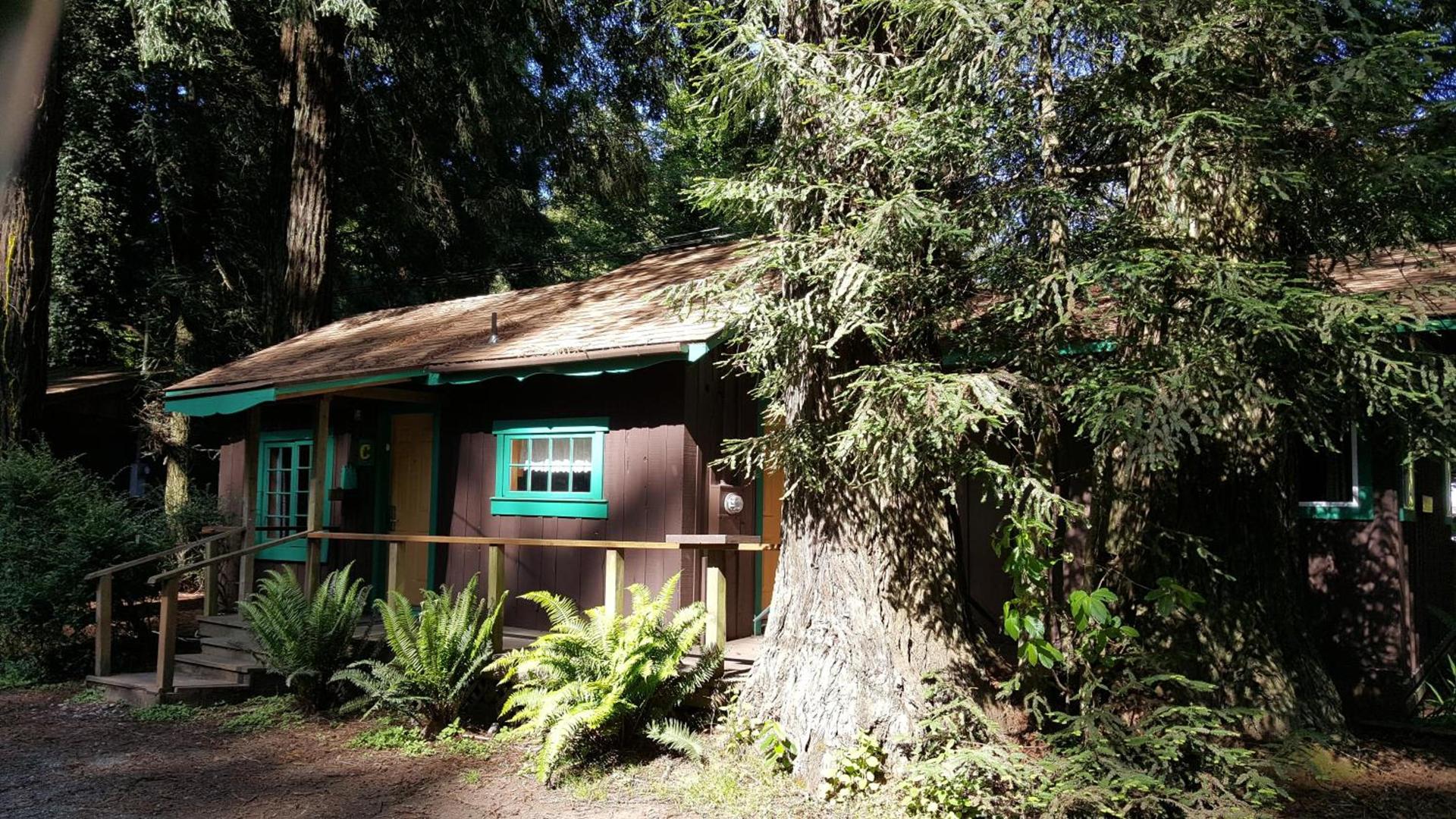 Emerald Forest Cabins photo 60