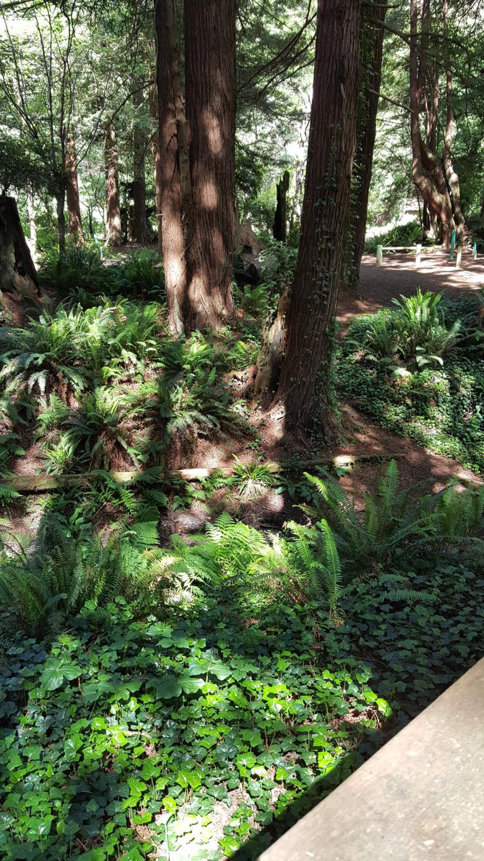 Emerald Forest Cabins photo 49