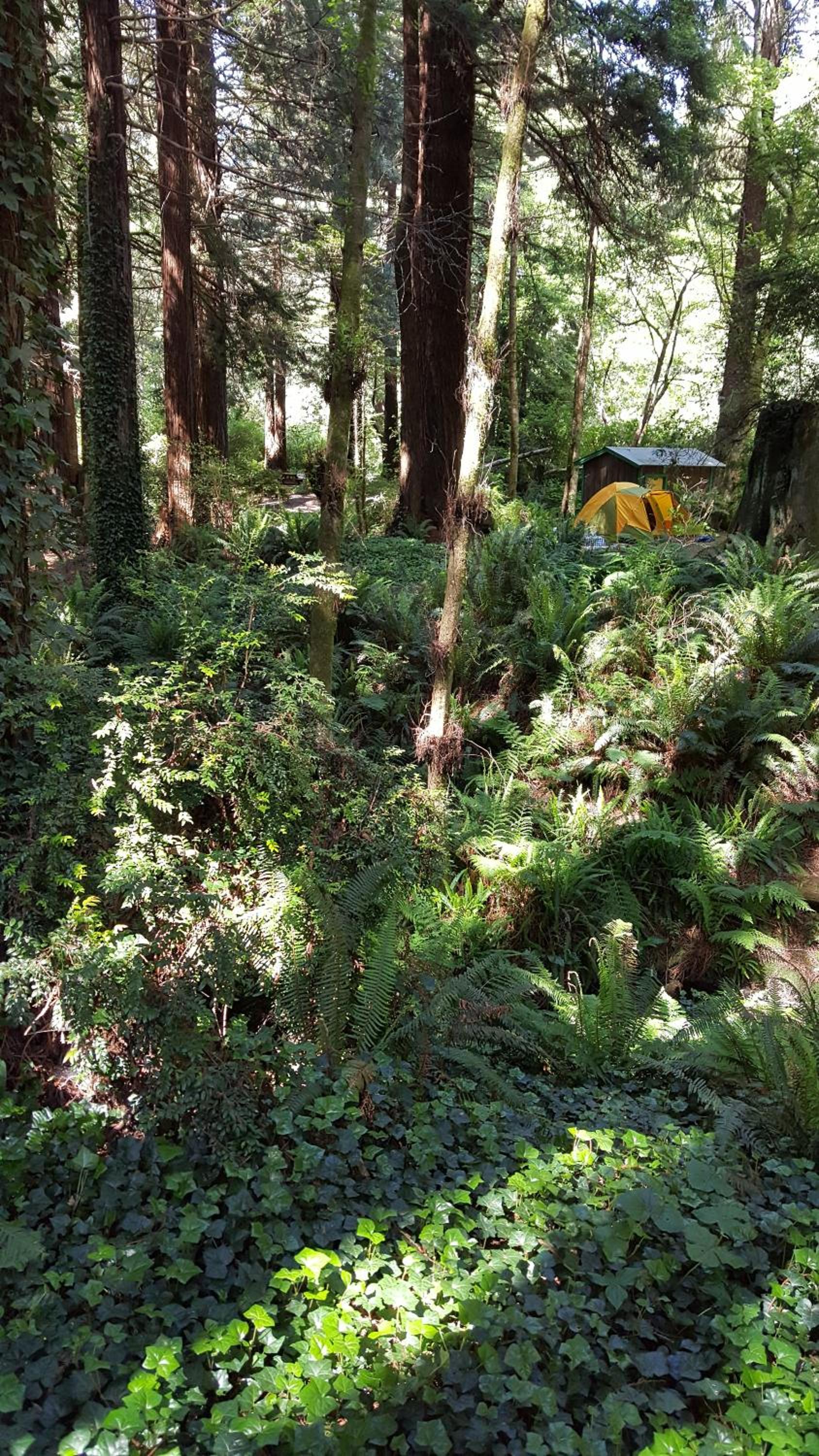 Emerald Forest Cabins photo 63