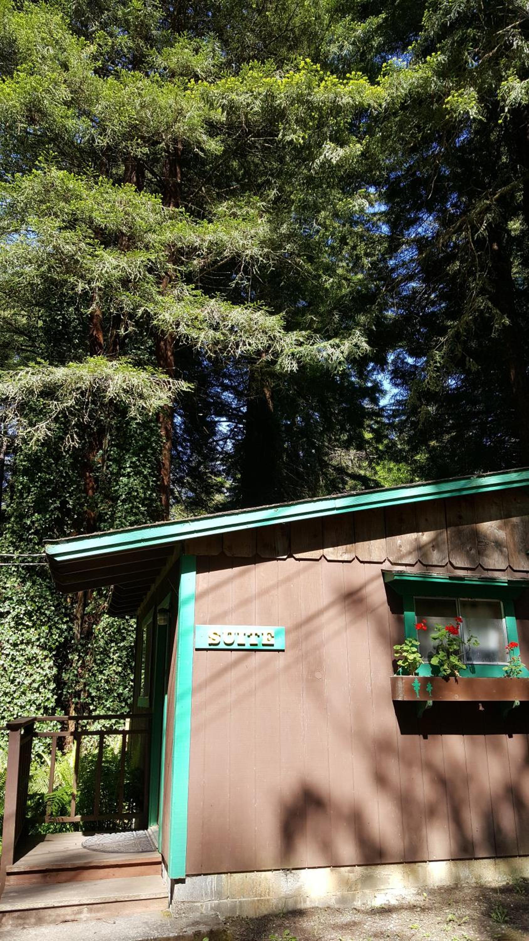 Emerald Forest Cabins photo 69