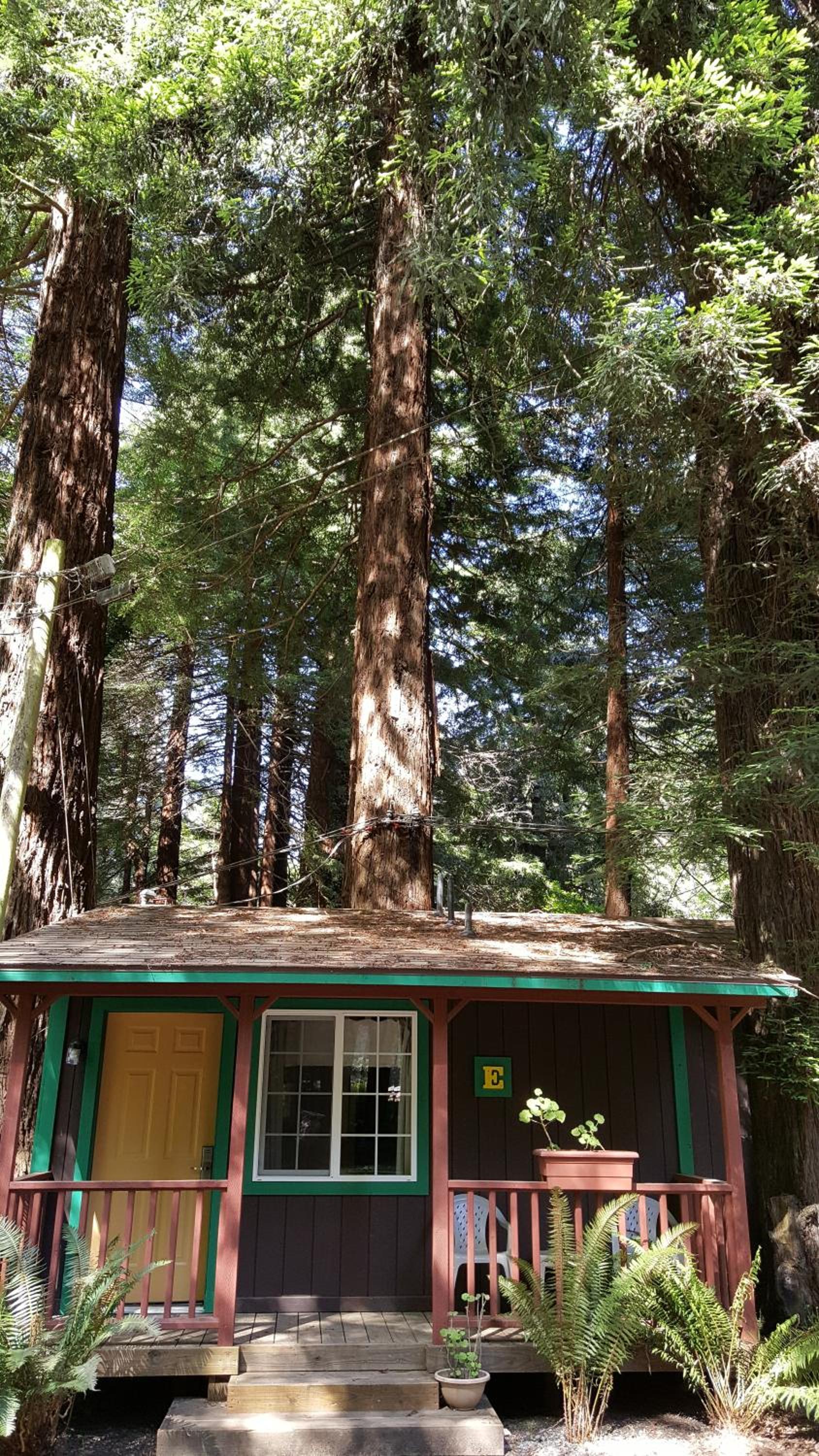 Emerald Forest Cabins photo 74