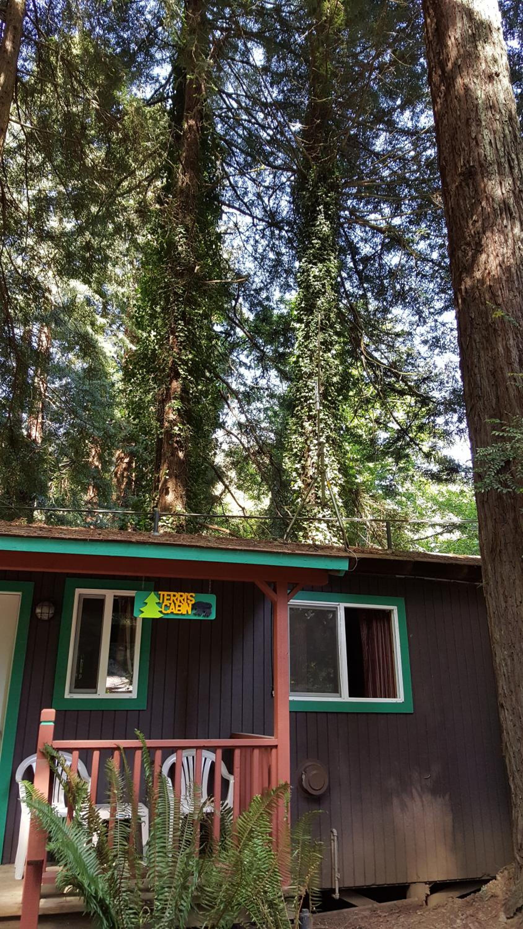 Emerald Forest Cabins photo 83