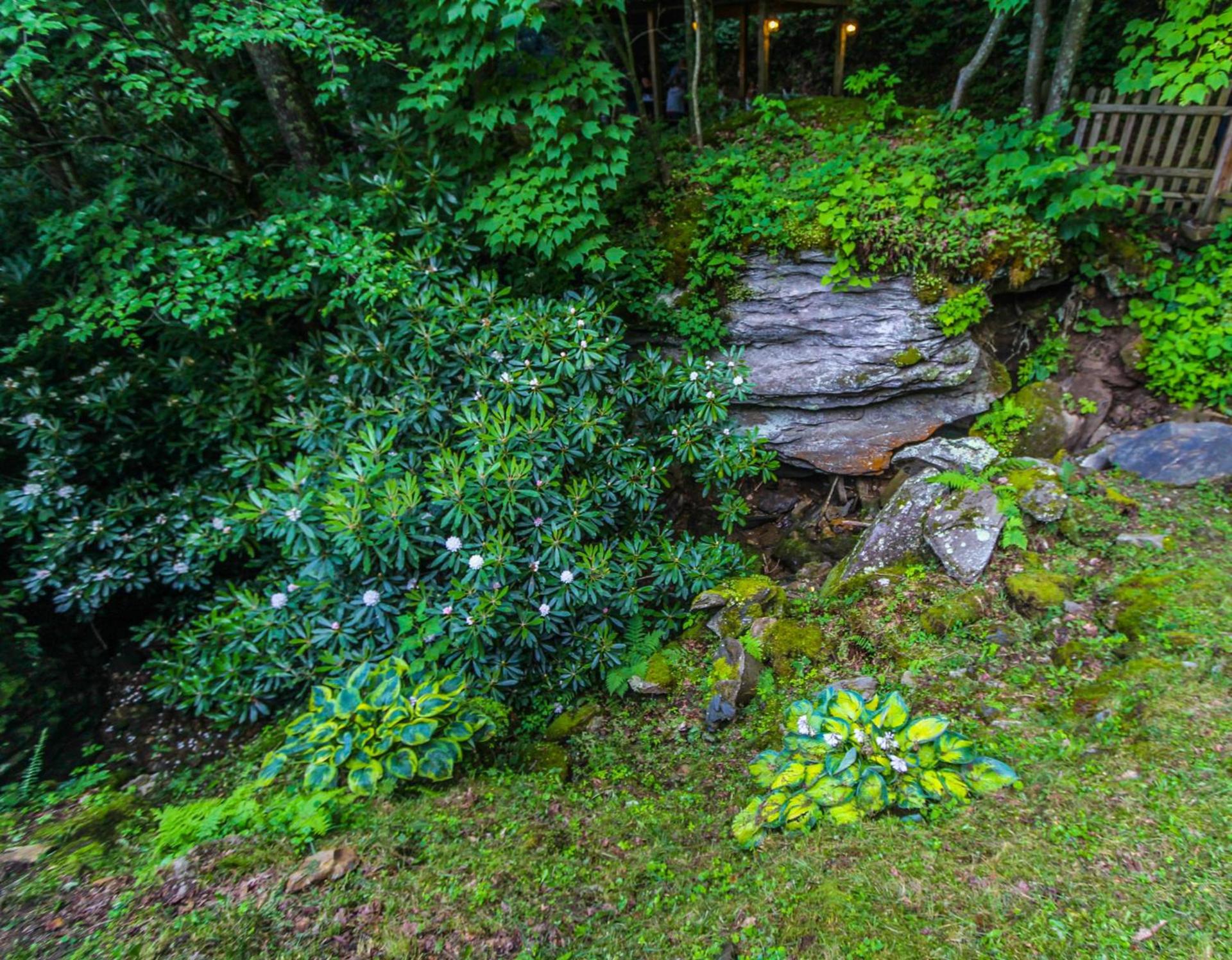 Smoketree Lodge photo 20