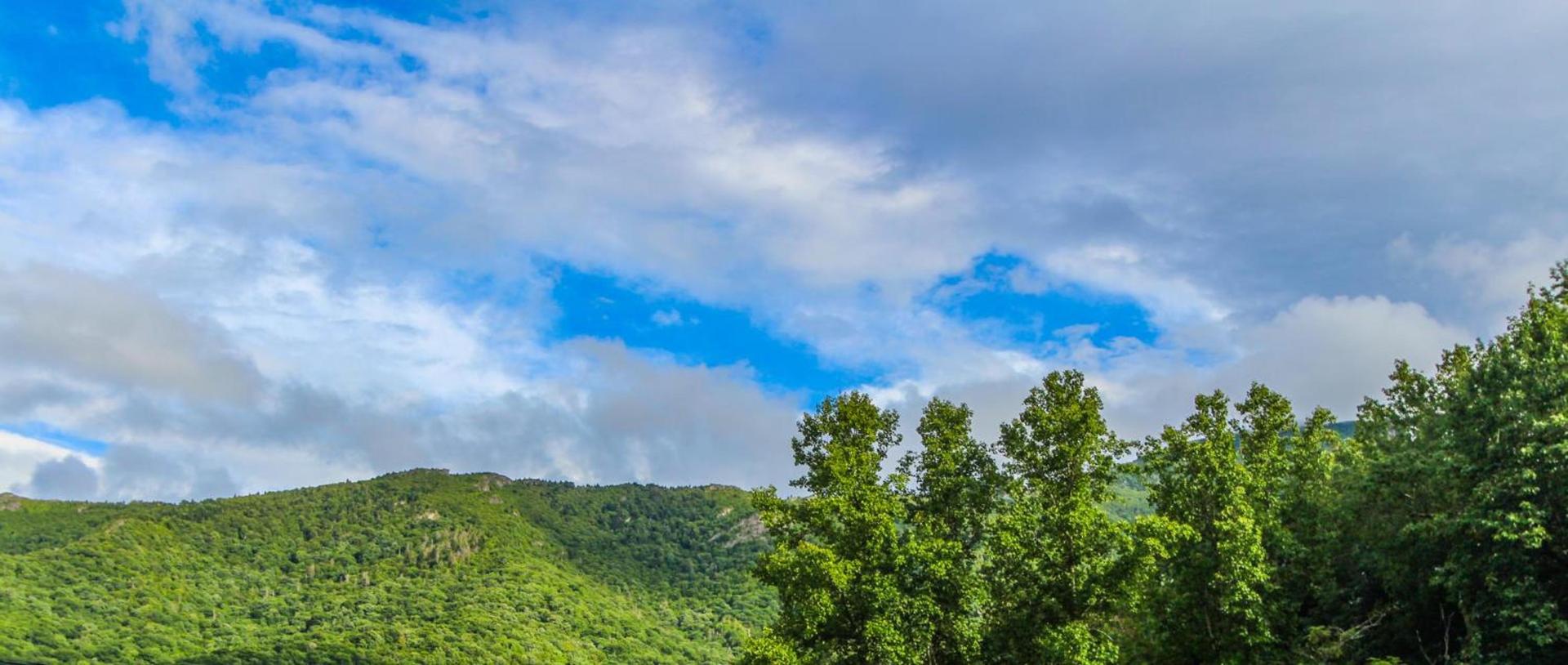 Smoketree Lodge photo 21