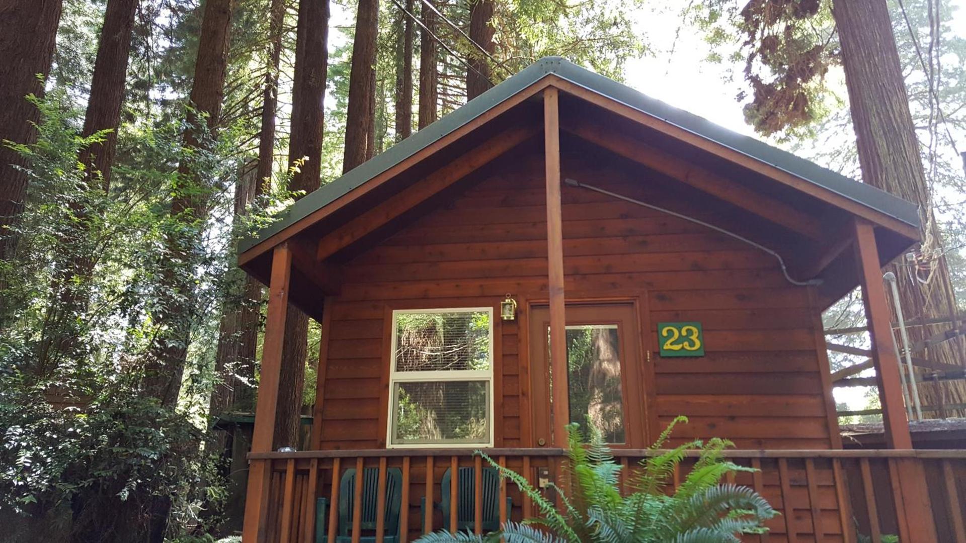 Emerald Forest Cabins photo 89