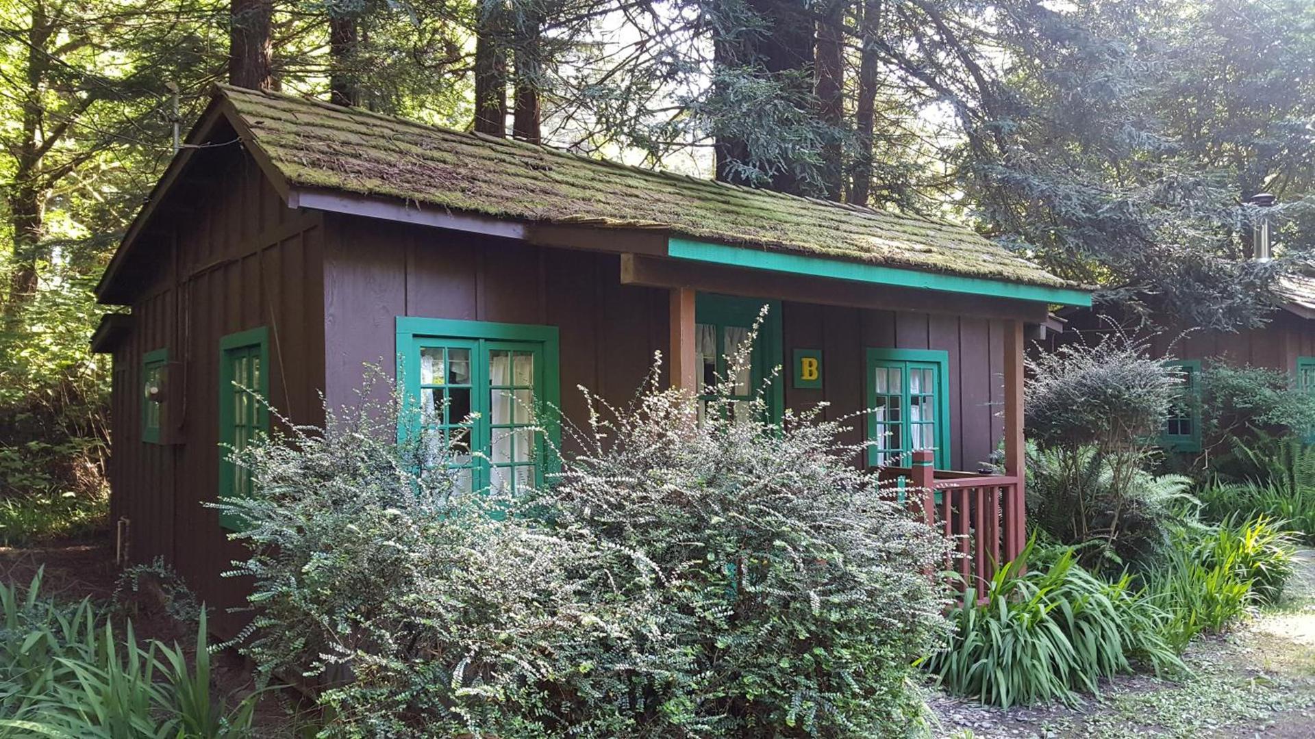 Emerald Forest Cabins photo 90