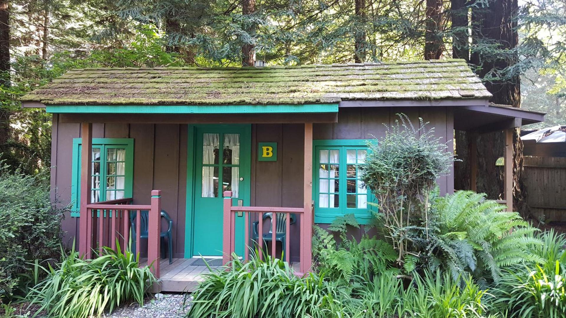 Emerald Forest Cabins photo 91