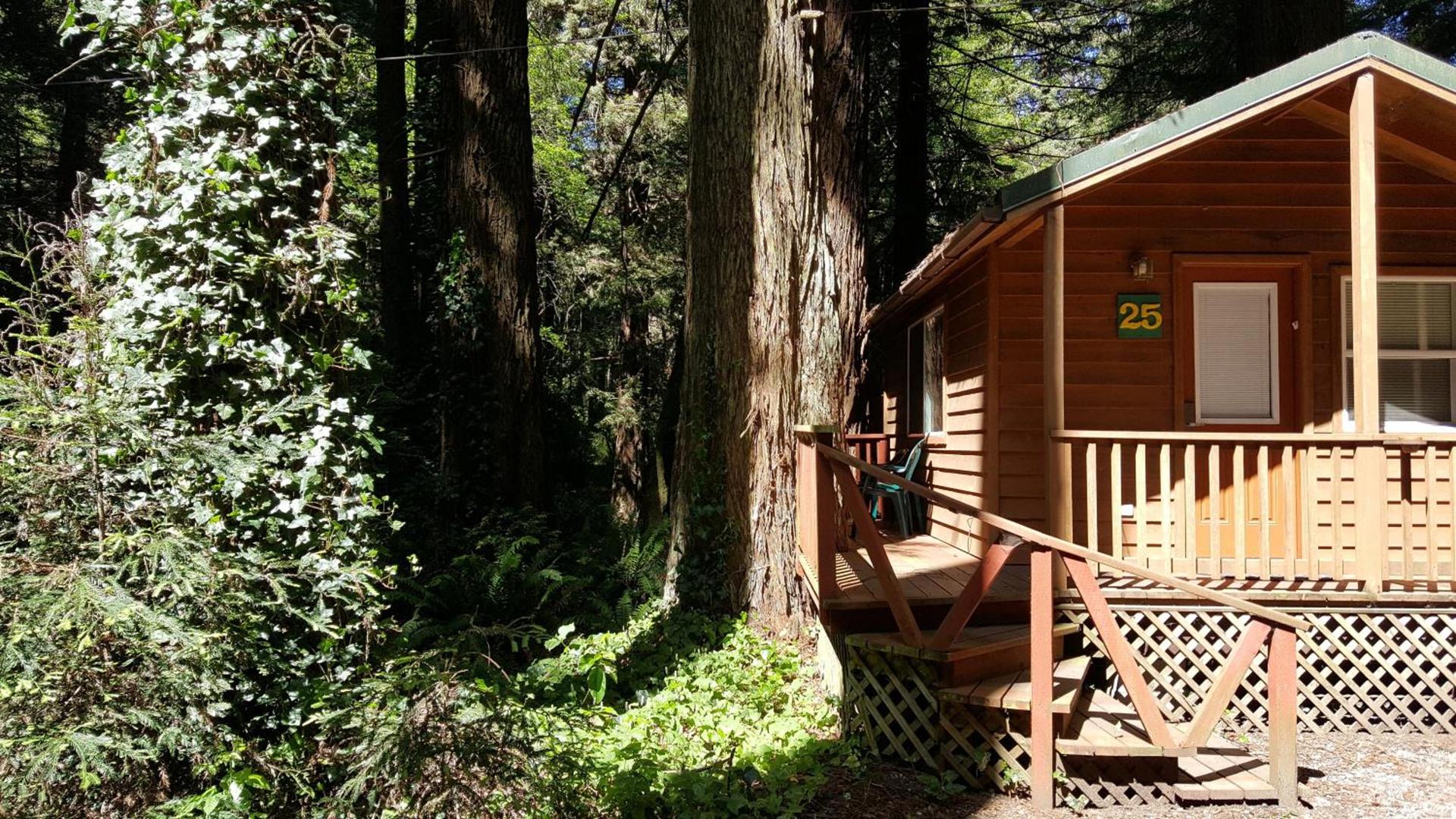 Emerald Forest Cabins photo 53