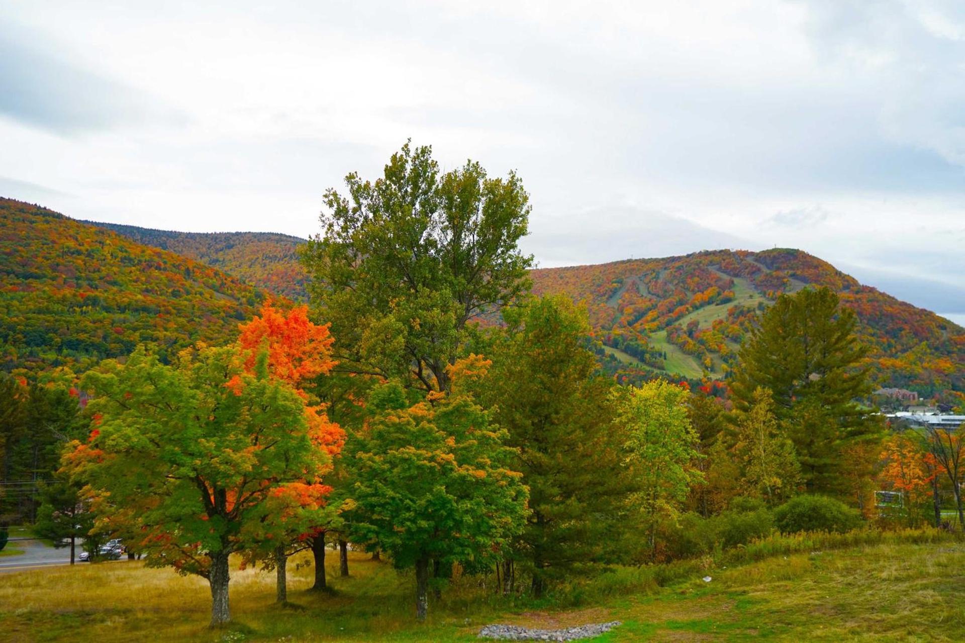 Scribner's Catskill Lodge, a Member of Design Hotels photo 6