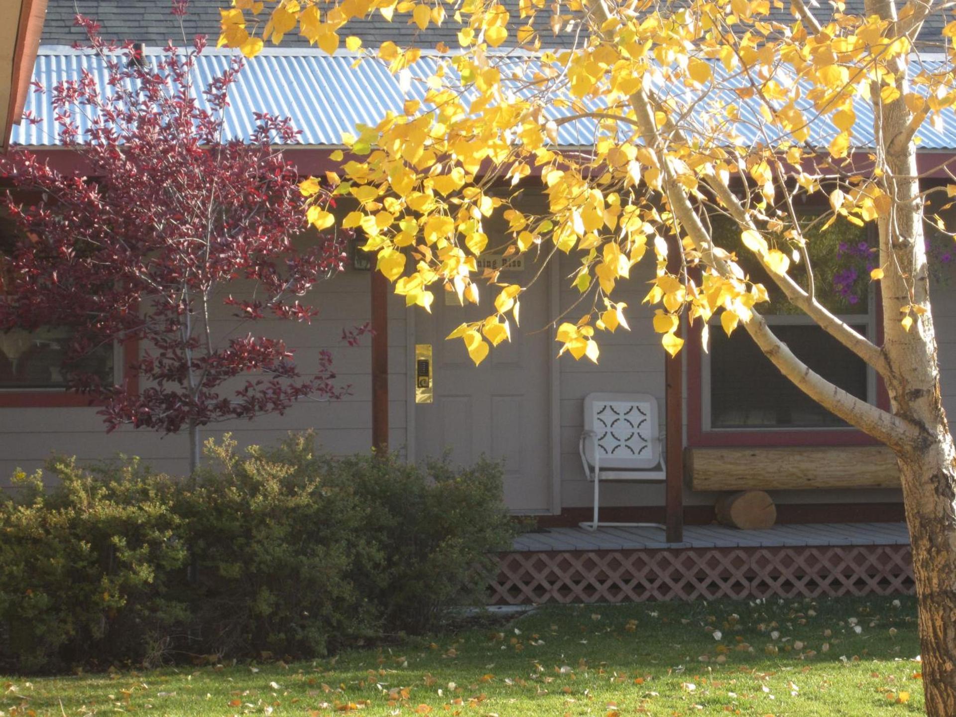 Pinedale Cozy Cabins photo 3