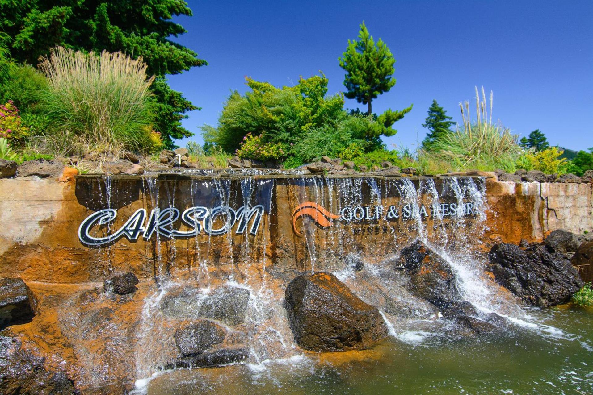 Carson Hot Springs Resort & Spa photo 28
