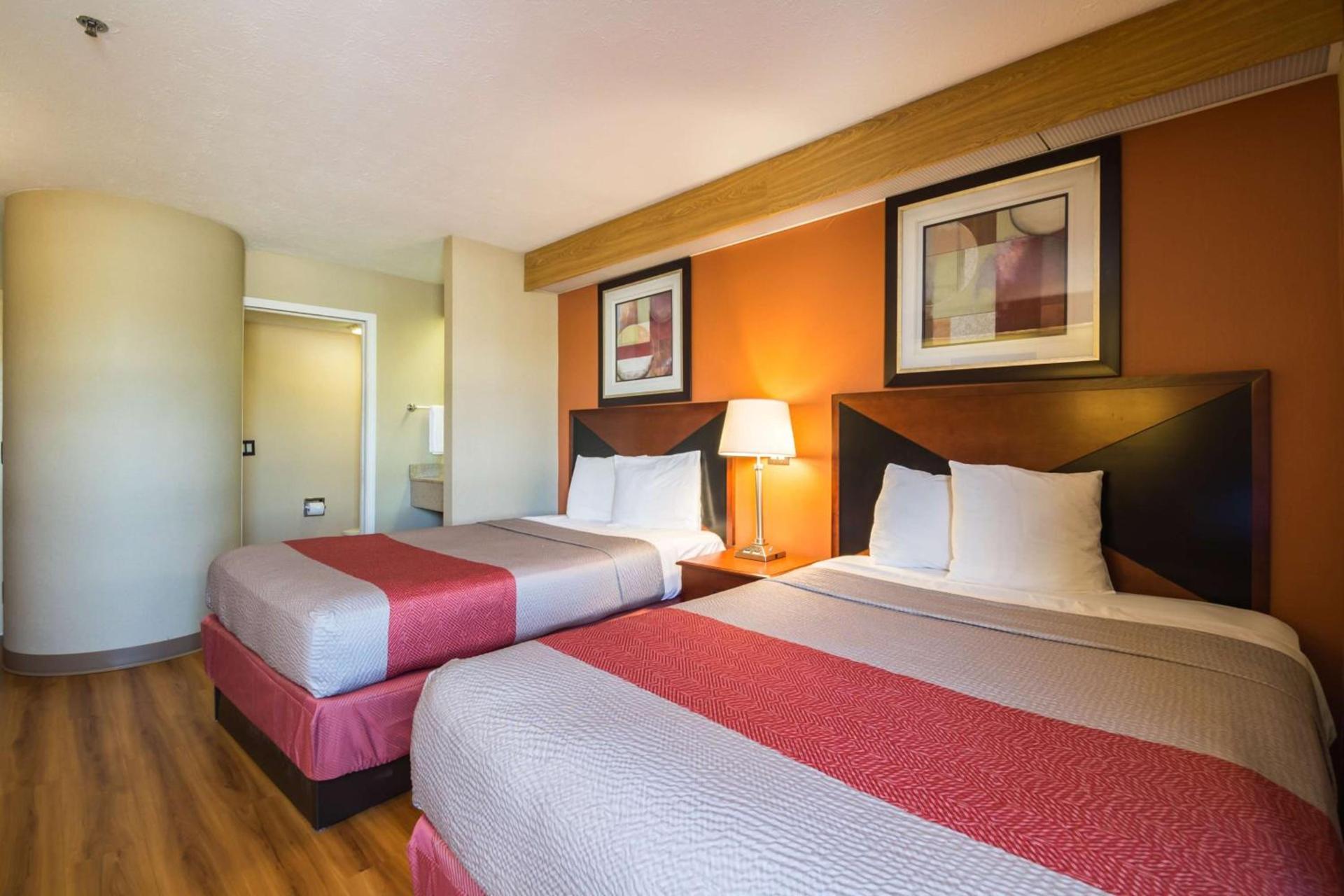 Motel 6-Indianapolis, IN - Airport photo 44