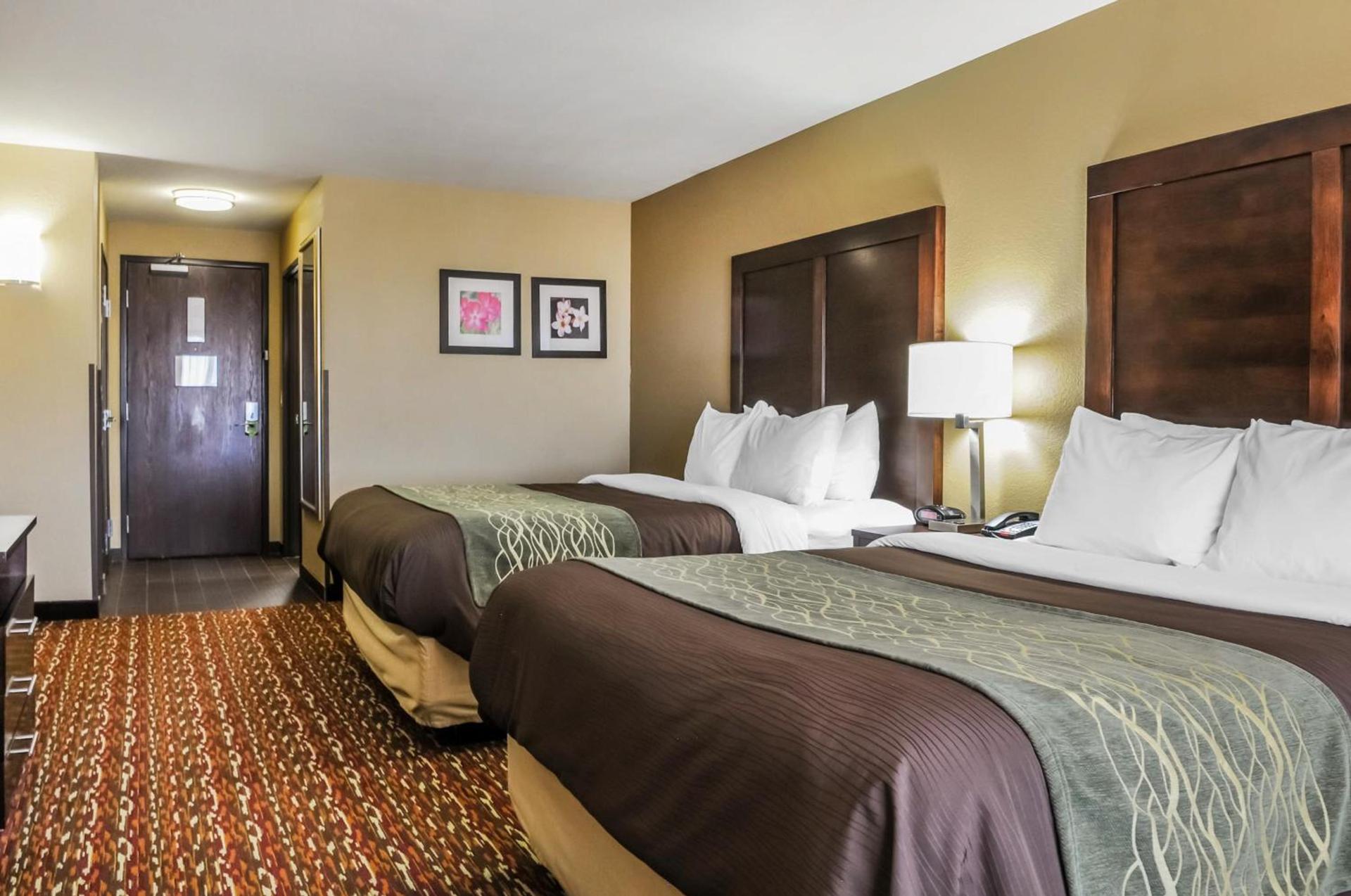Comfort Inn & Suites Artesia photo 64