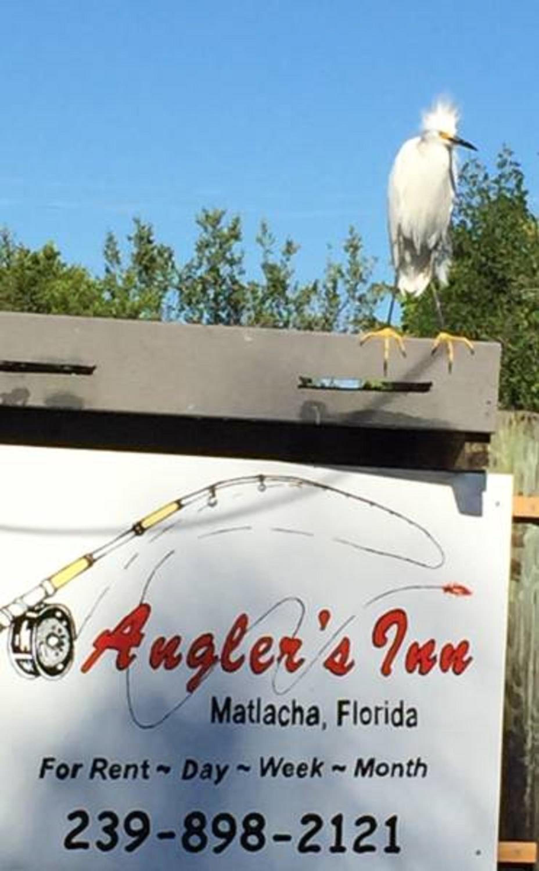 Angler's Inn photo 34