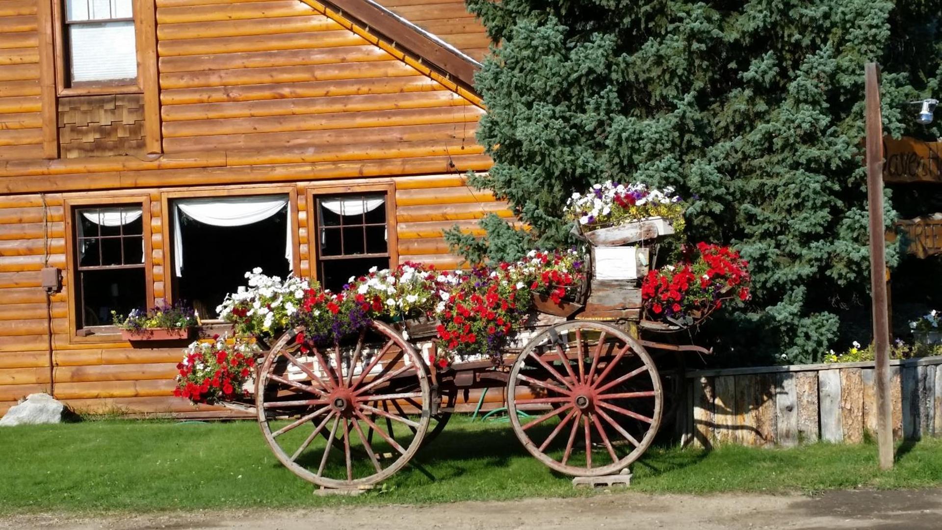 Daven Haven Lodge & Cabins photo 35