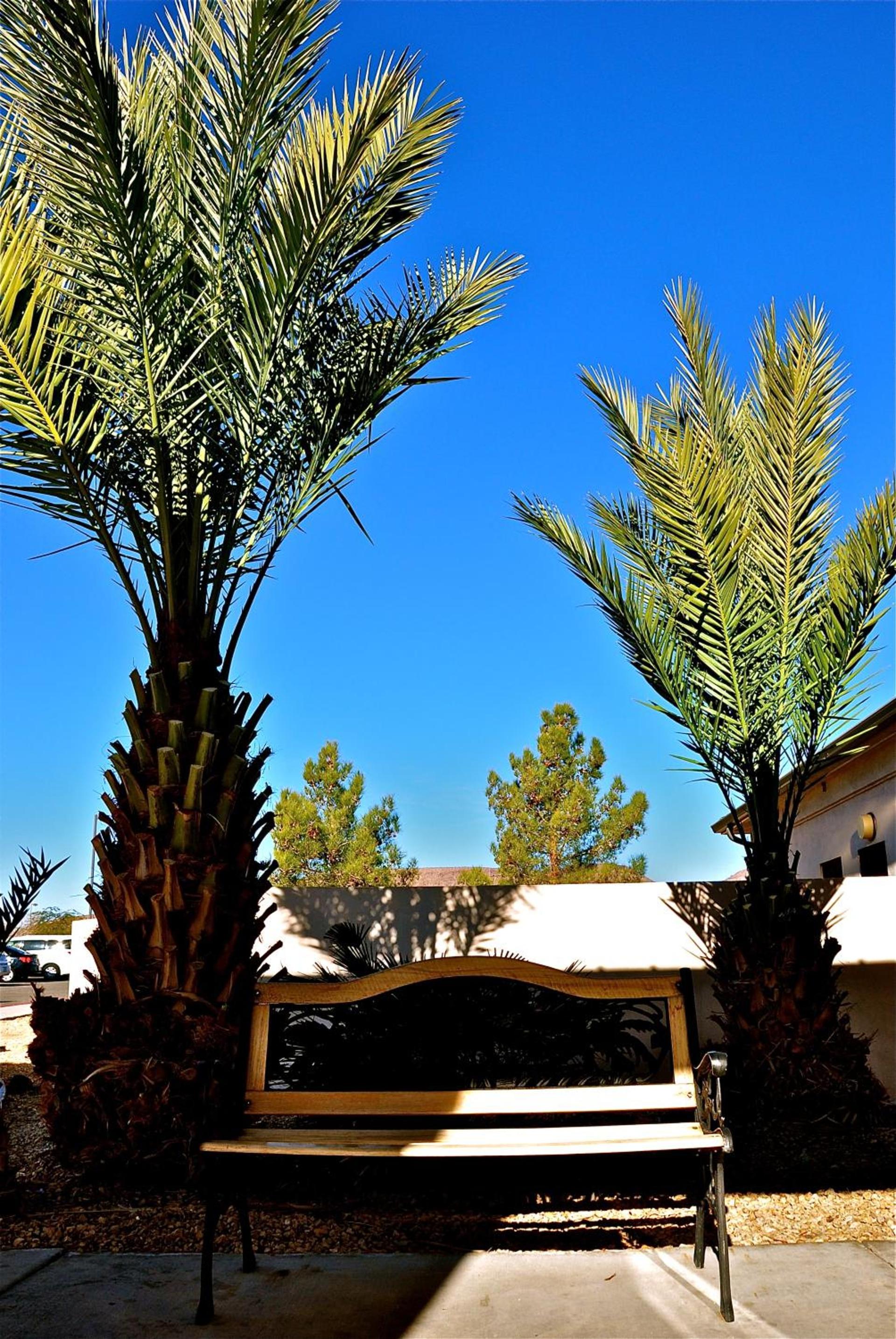 Landmark Inn Fort Irwin photo 6