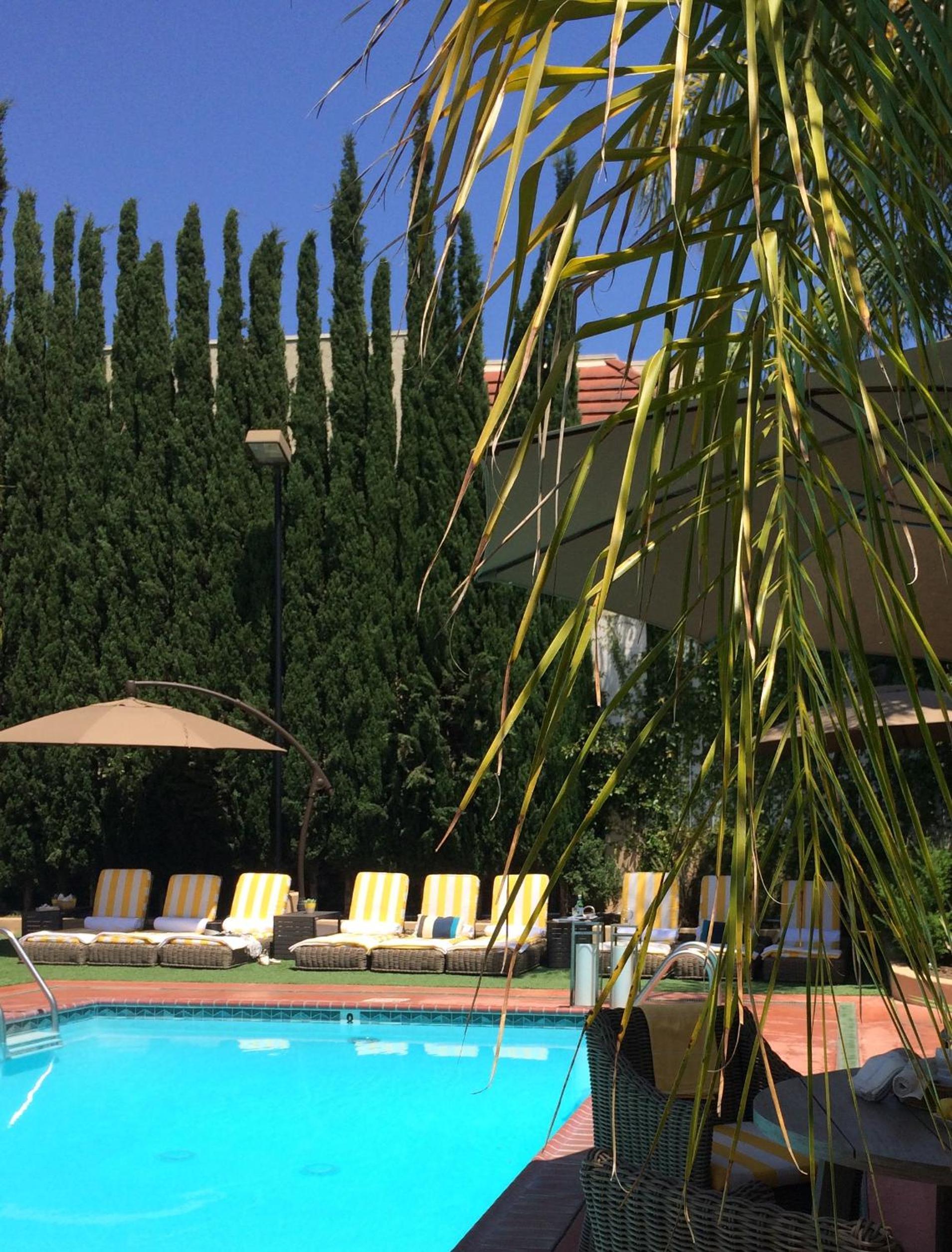 Hollywood Hotel photo 66