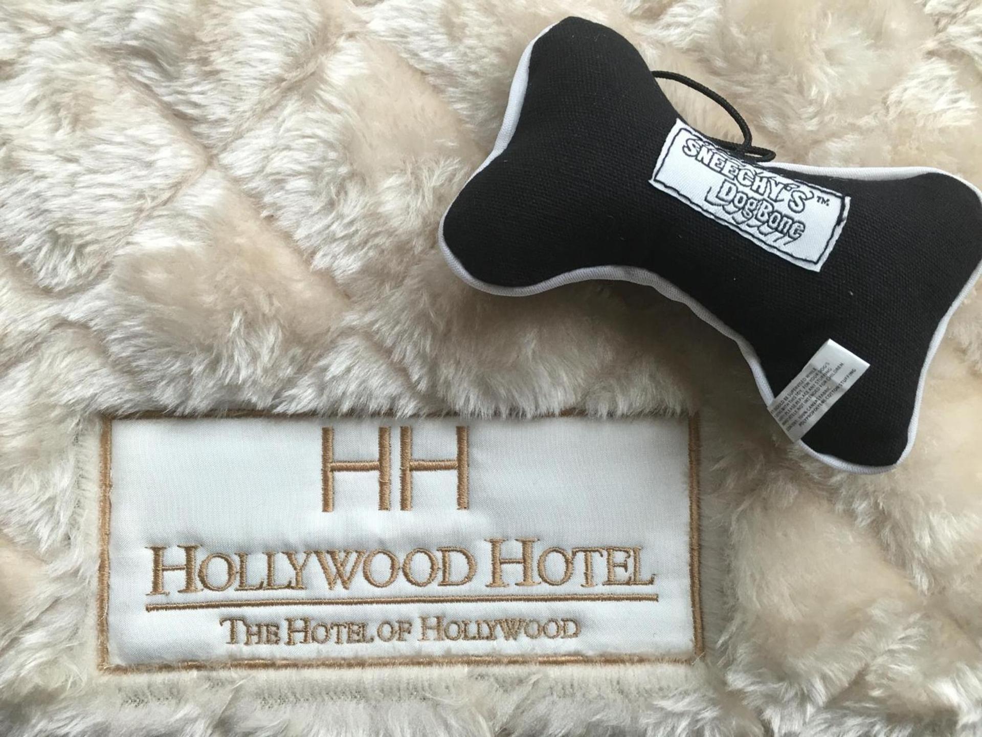 Hollywood Hotel photo 27