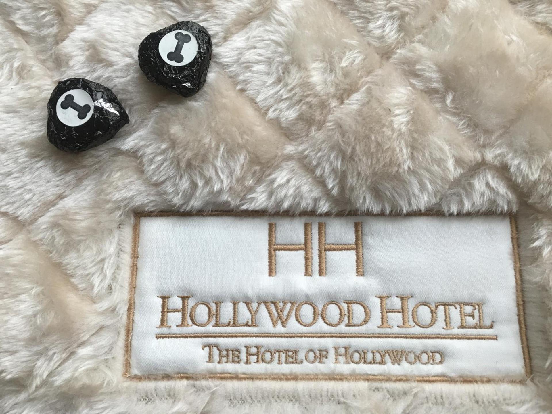Hollywood Hotel photo 25