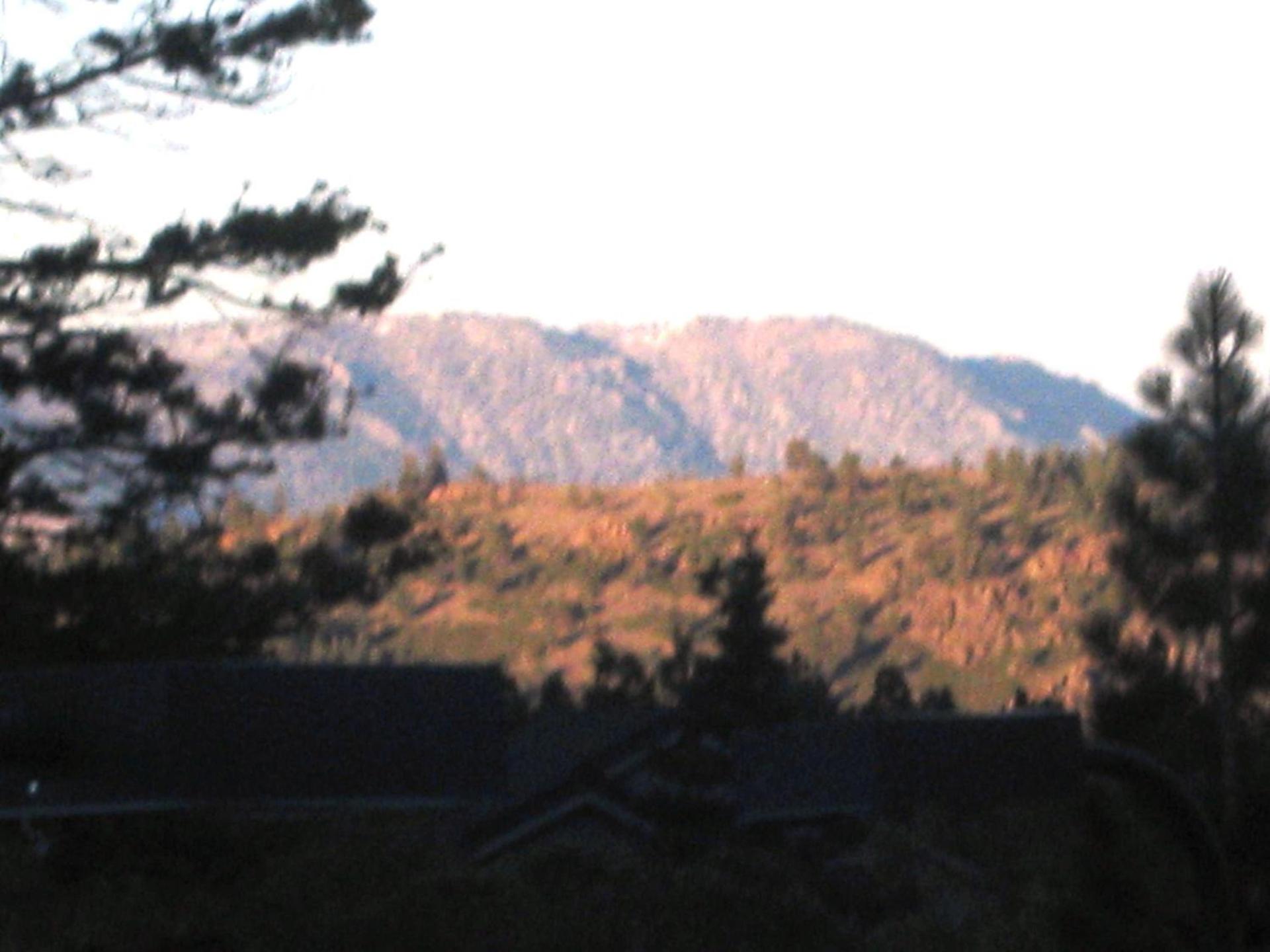 The Mammoth Creek Inn photo 9