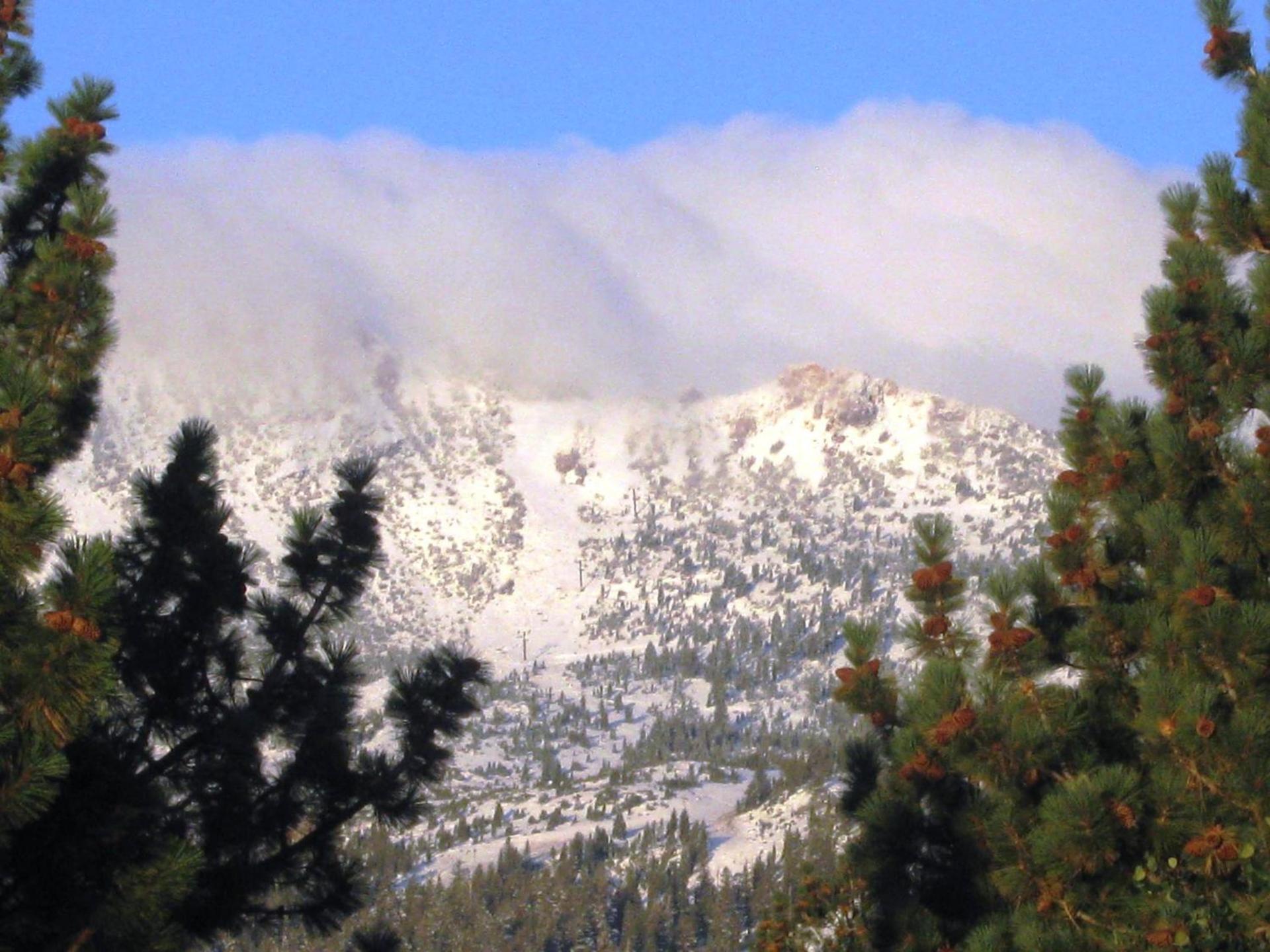 The Mammoth Creek Inn photo 12