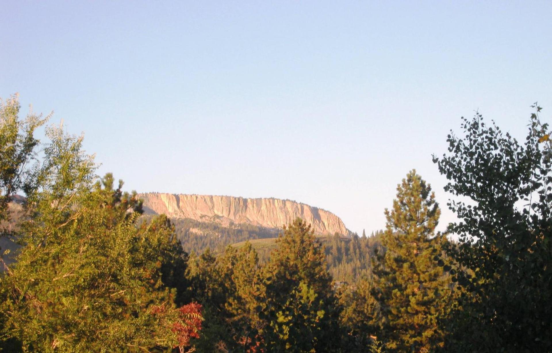 The Mammoth Creek Inn photo 8